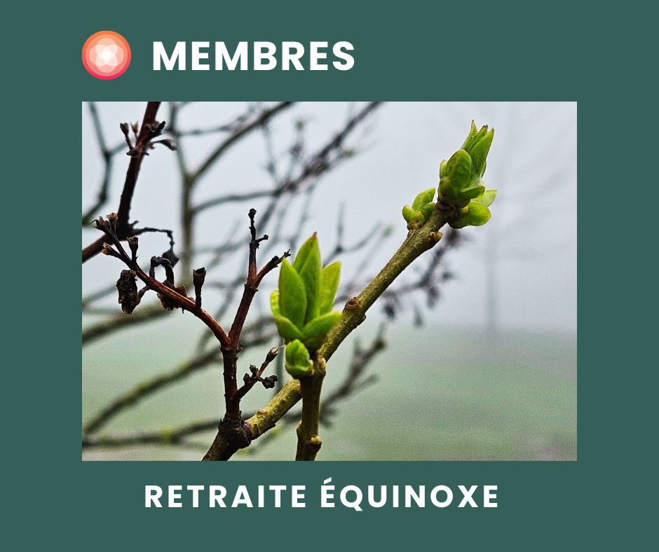 Retraite Tout en santé | Membre