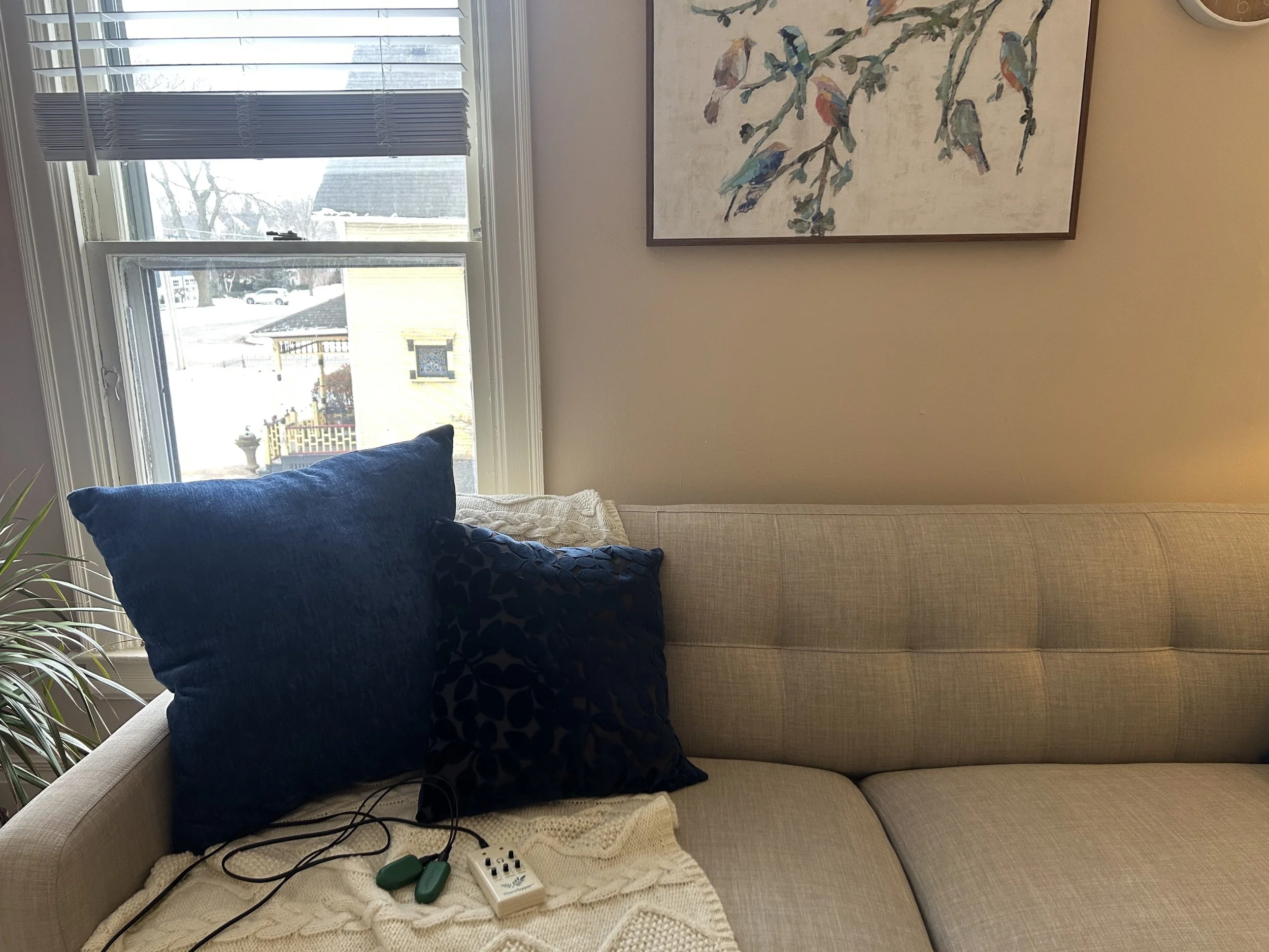 Living room corner with beige sofa, two dark blue decorative pillows, a cream-colored blanket, a potted plant, a window with blinds, a painting of birds on branches, and a small part of a wall clock.
