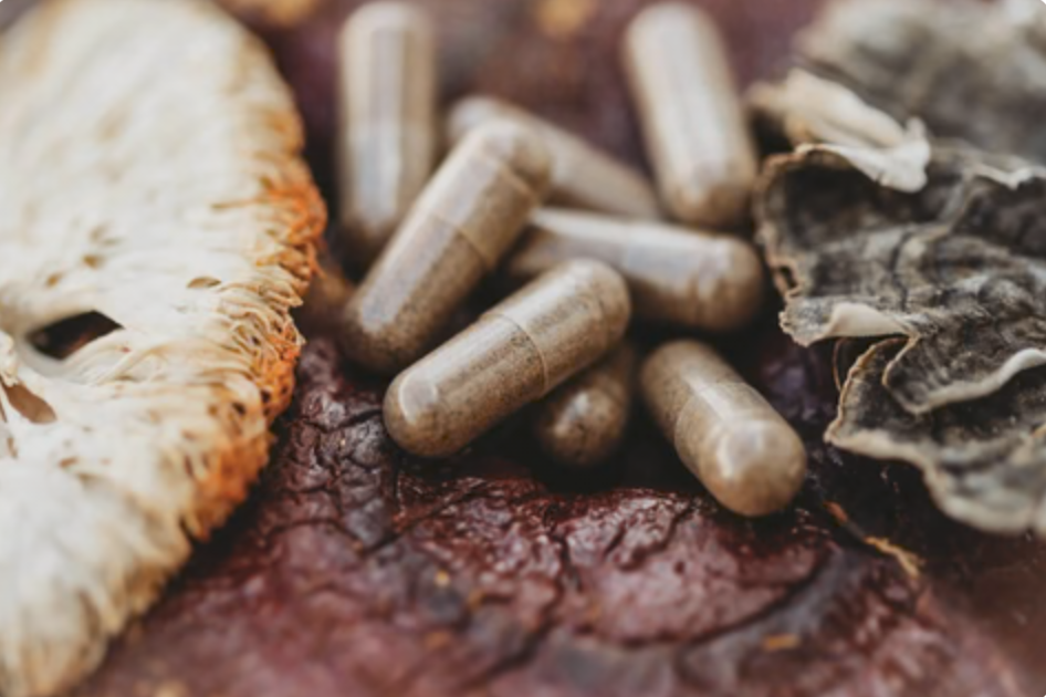 A close-up of supplement capsules, dried orange slices, and dried oyster shells on a textured surface.