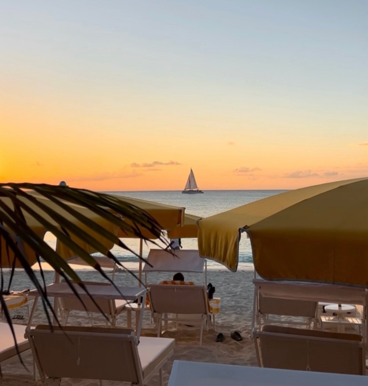 Escape the cold but make it design-forward 〰️

Meet Palm Heights in Grand Cayman. Fifty-two all-suite rooms, chic design, beach club days, and that effortless Caribbean cool. Perfect for a three to four night girls&rsquo; trip or couples&rsquo; getaw