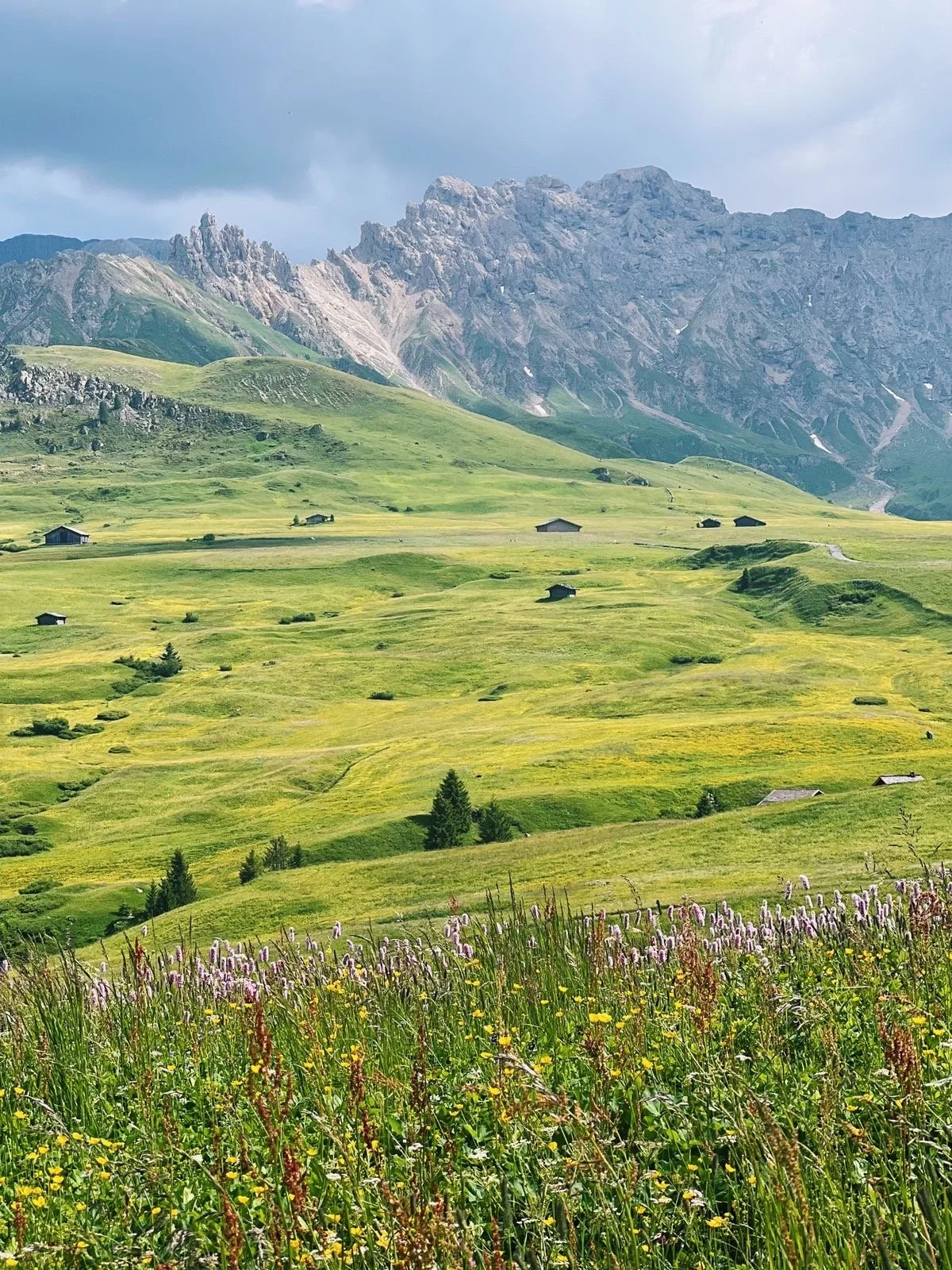 A scenic landscape of rolling green hills with scattered small houses, leading up to rugged mountains under a cloudy sky.