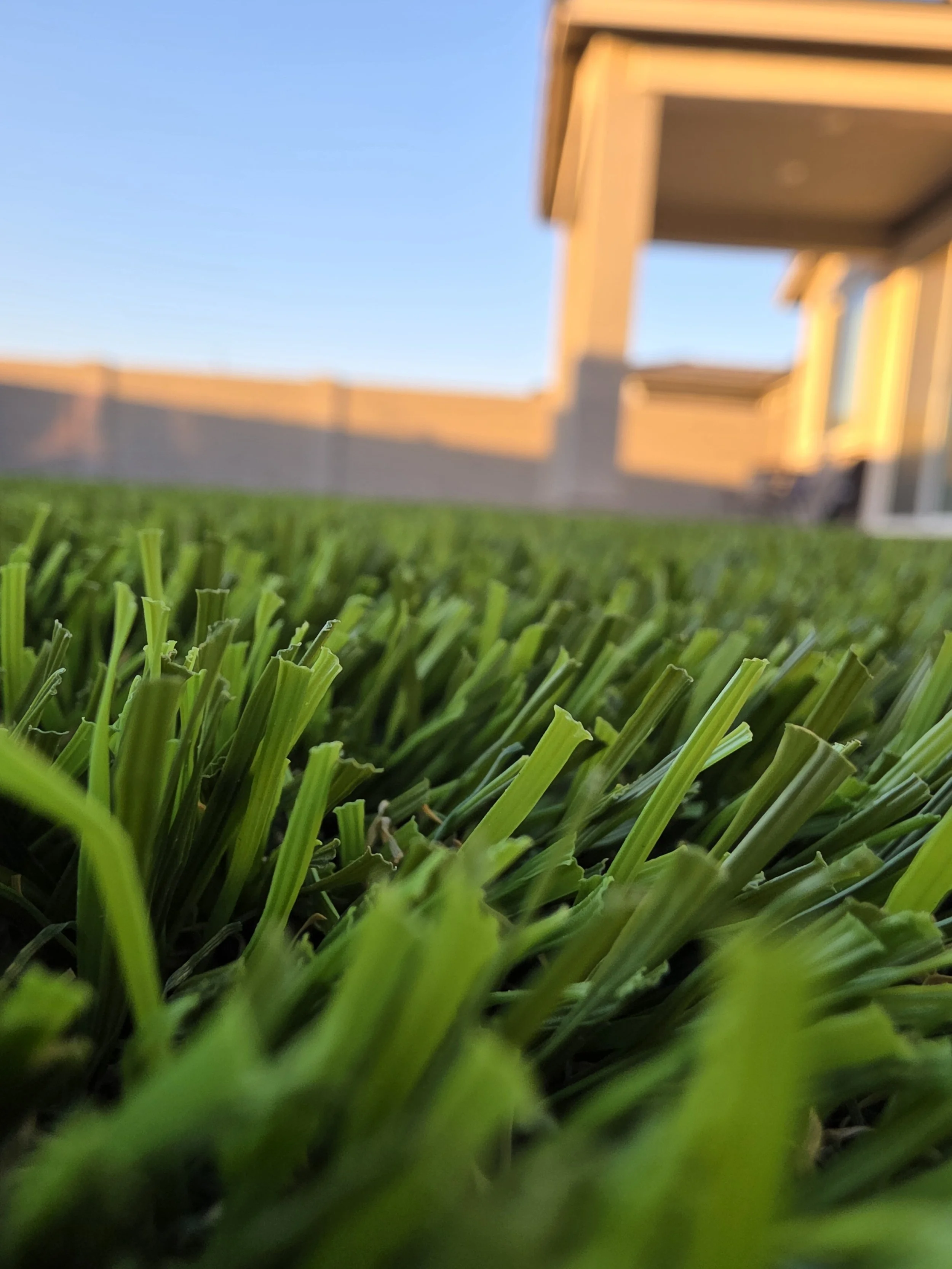 Why Landscapes Fail After 2–3 Years in Arizona (And How to Prevent It)