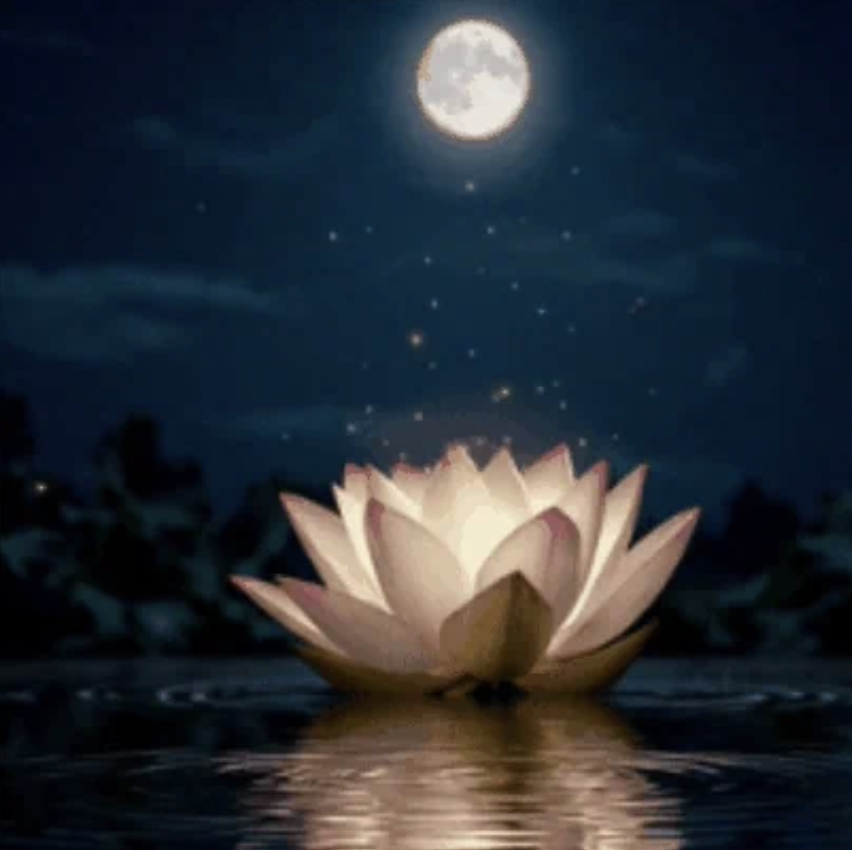 Baltimore Advaita Vedanta Satsang 