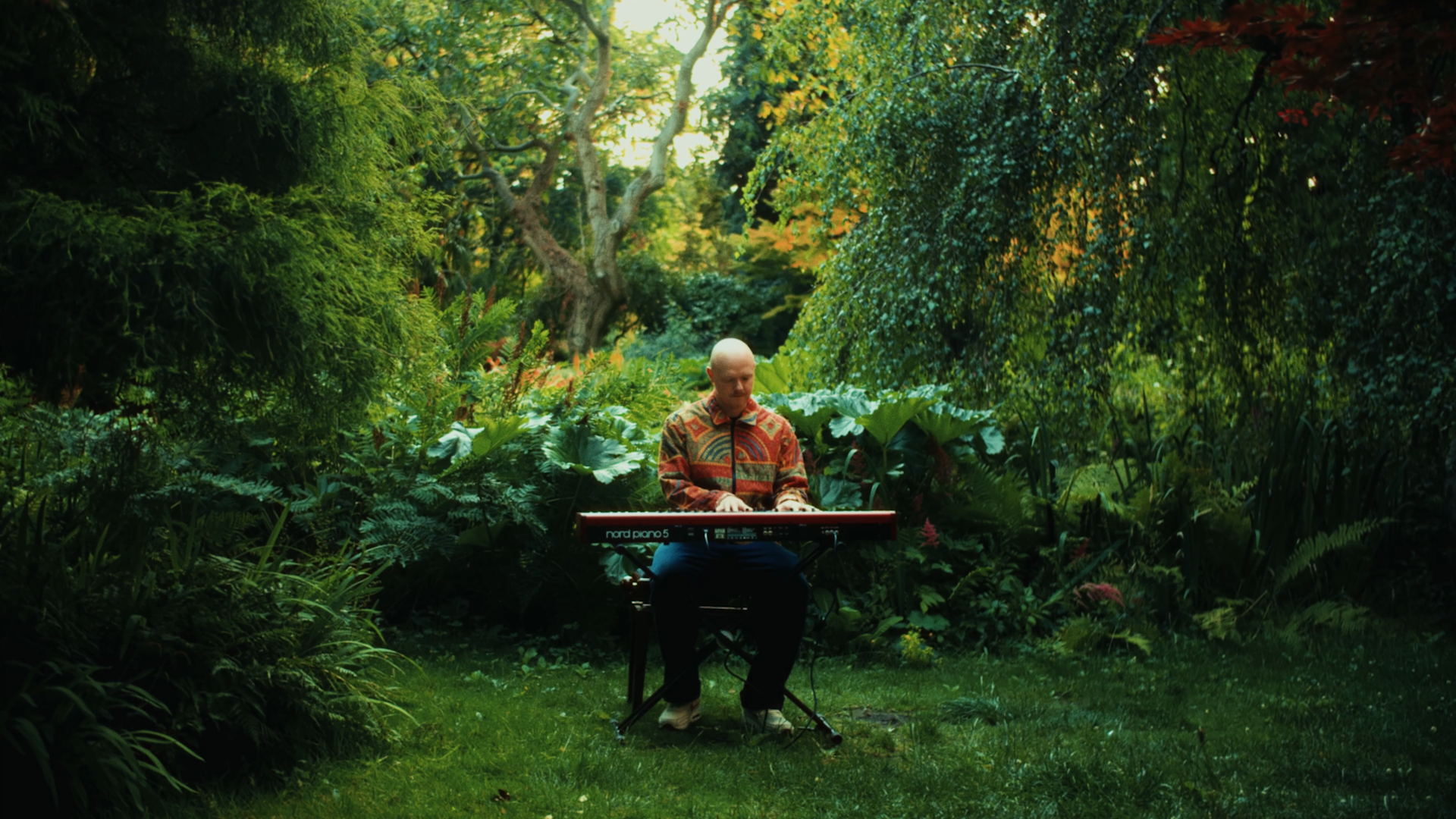 Matt Wilde - Hello World