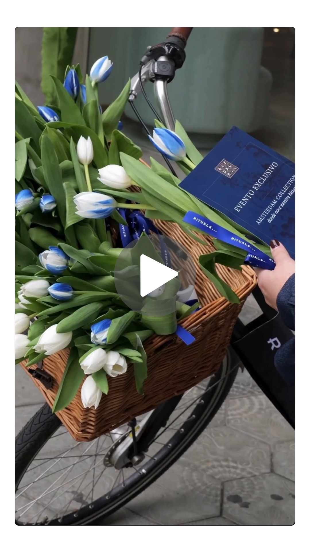 A bicycle with a wicker basket filled with white and blue tulips, and a hand holding event invitation cards in front of the basket.
