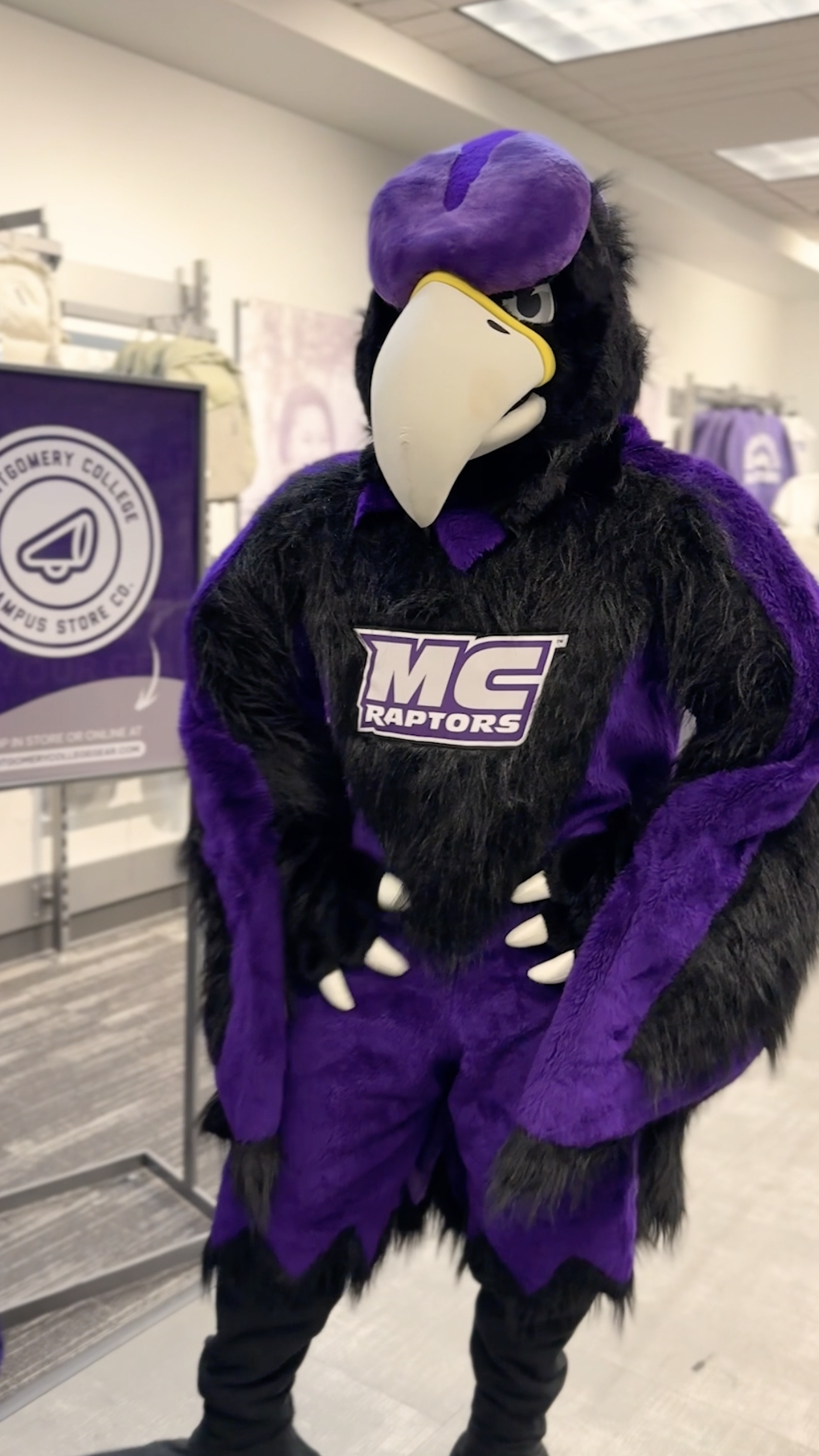 Screenshot 2026-01-09 at 4.17.03 PM.png