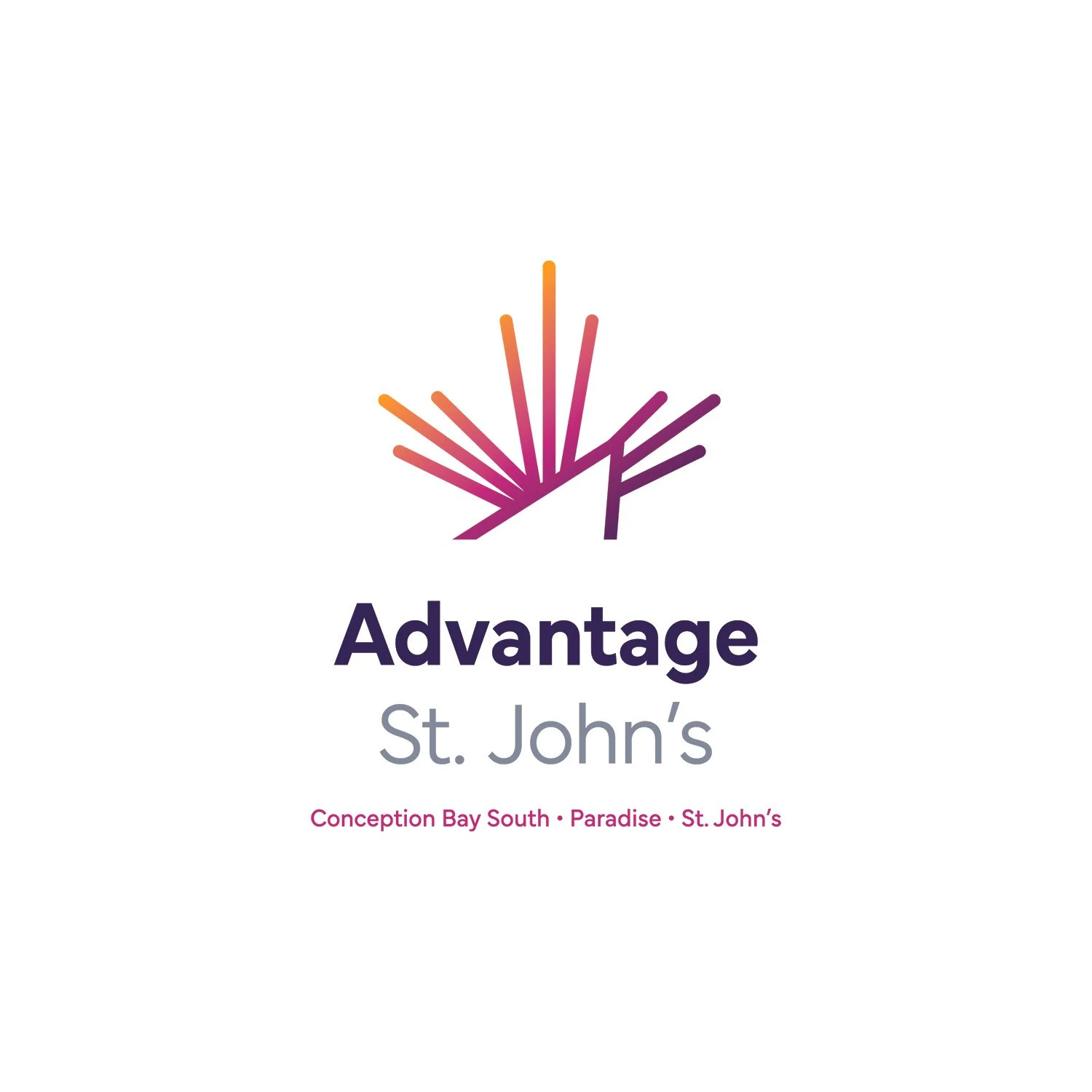 Logo for Advantage St. John's featuring a stylized multicolor burst design above the text. Beneath, it reads 'Advantage' in bold purple, and 'St. John's' in gray. Smaller pink text below states 'Conception Bay South • Paradise • St. John's'.