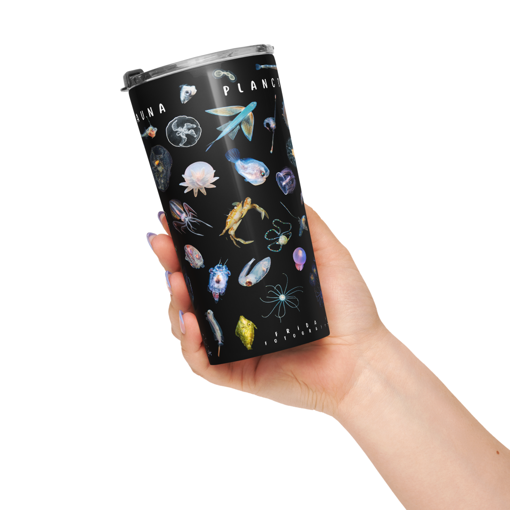 tapered-stainless-steel-tumbler-20-oz-white-20oz-right-6a3dde3718b9d.png
