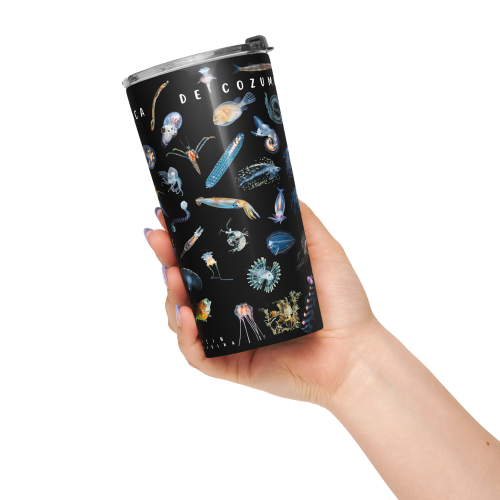 tapered-stainless-steel-tumbler-20-oz-white-20oz-left-6a3dde3718b53.png