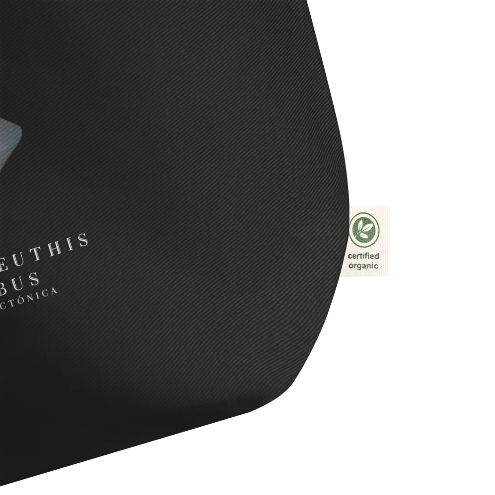 large-eco-tote-black-product-details-68cdc9c3abaa4.png