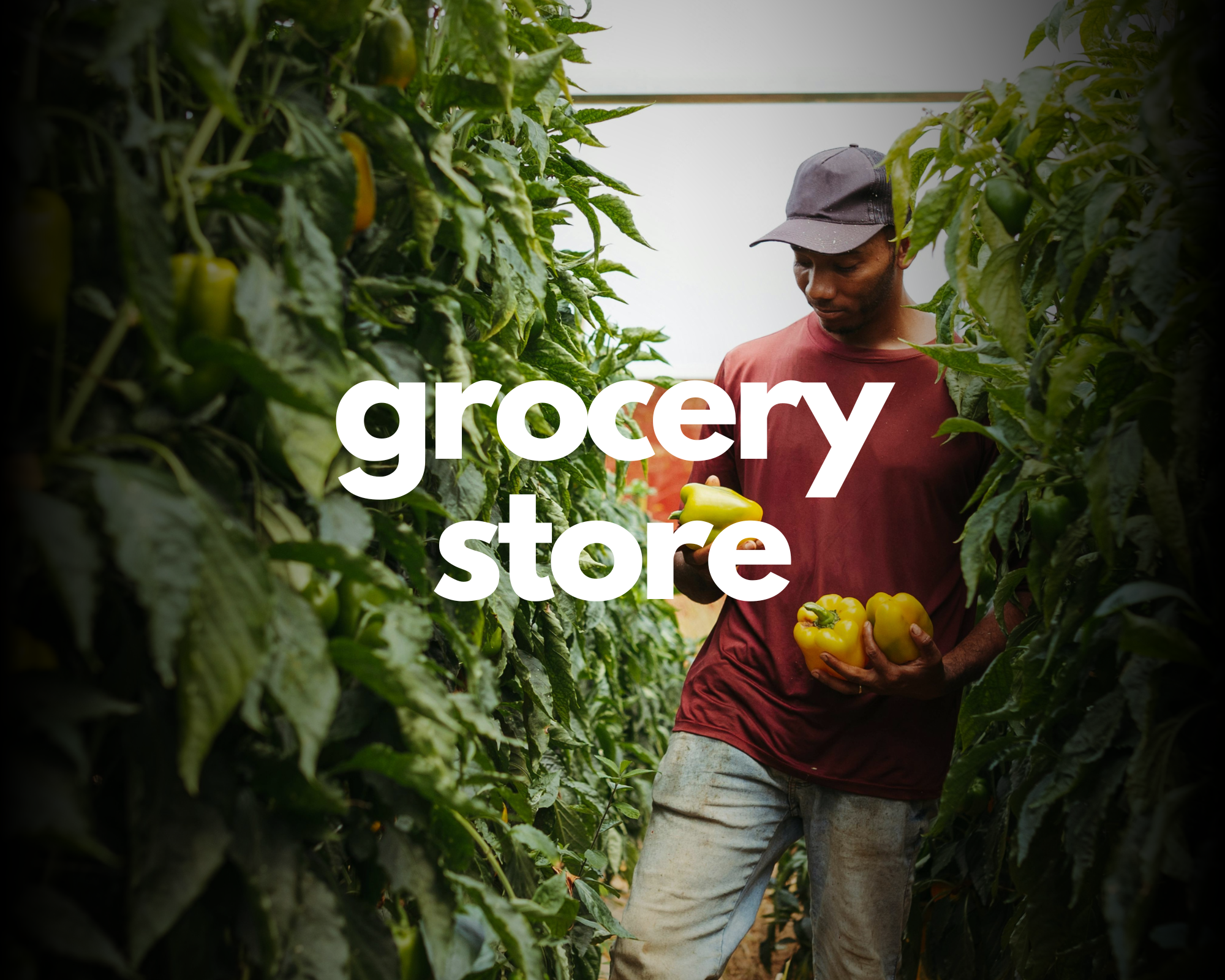 Grocery Store
