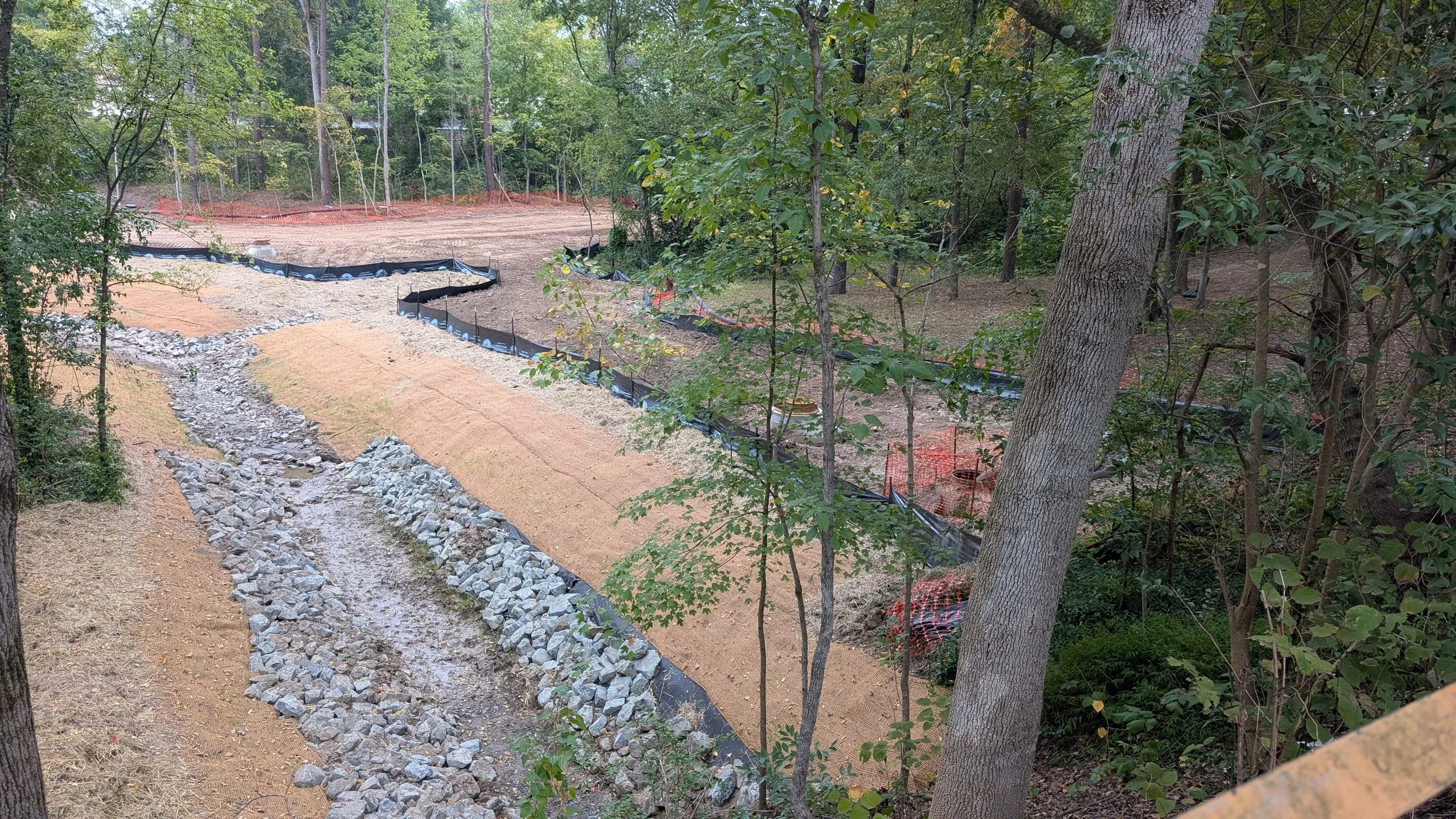 PXL_20261003_153635223.jpg