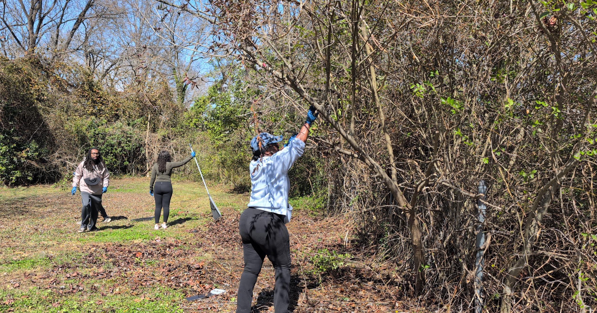 Three people engaged in a community cleanup, removing debris and trimming bushes outdoors on a partly sunny day.