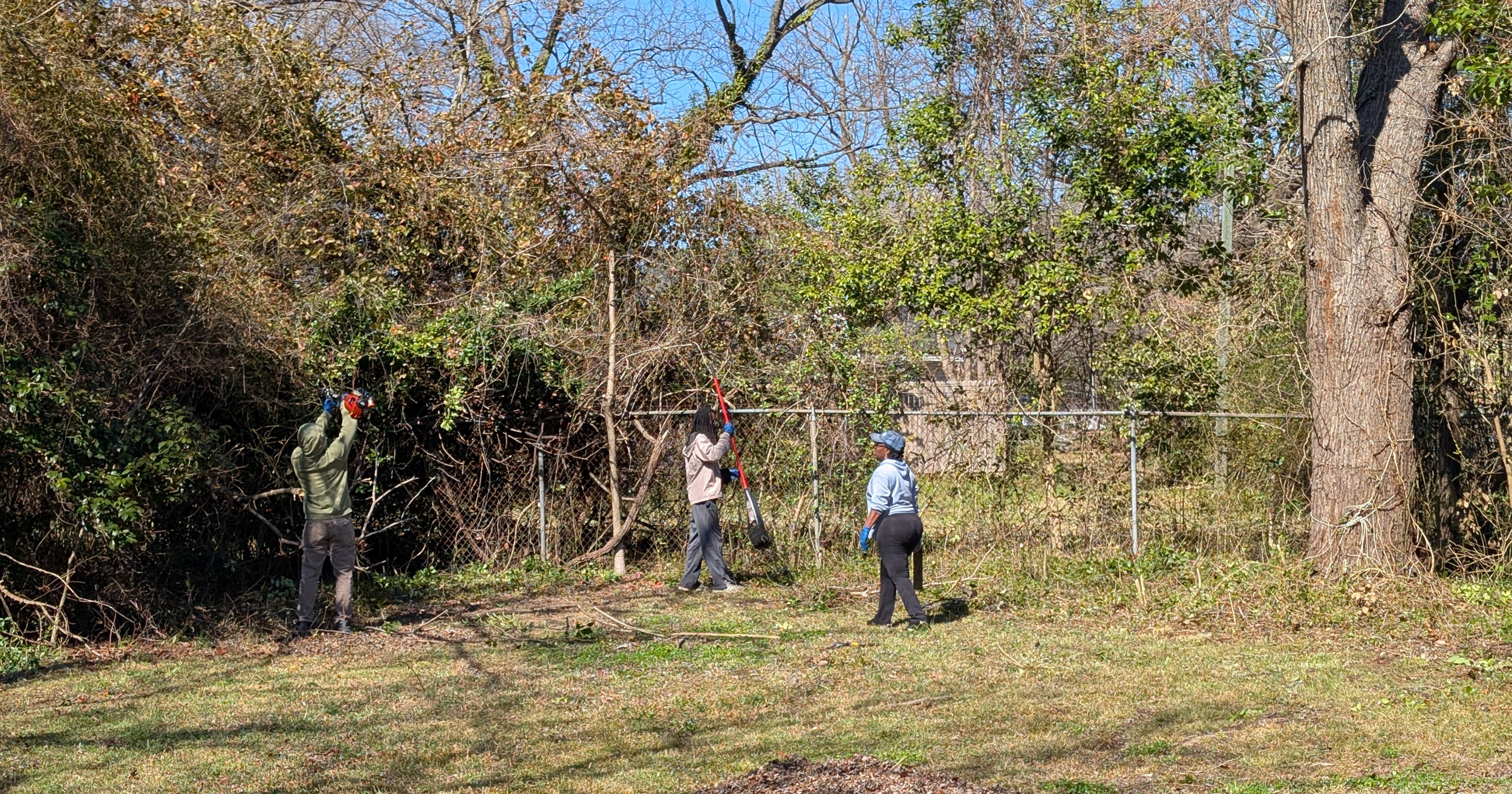 Three people working outdoors near a chain-link fence, trimming or clearing trees and bushes, with a large tree on the right and a clear blue sky above.