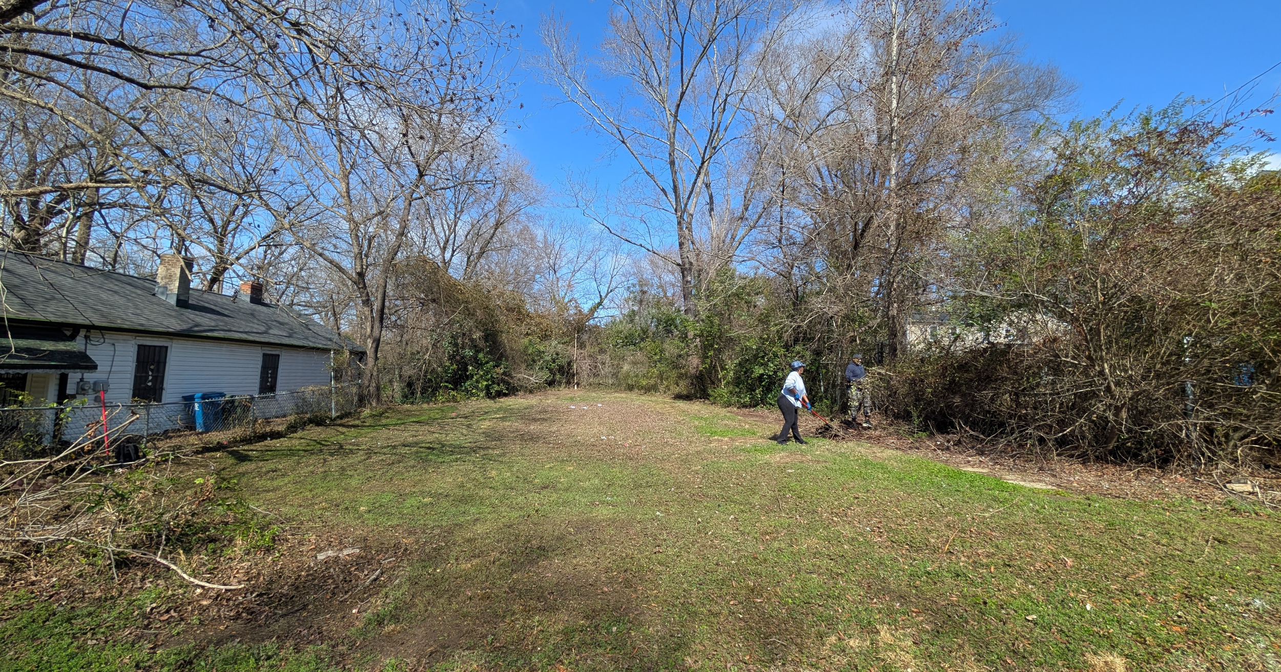 Two people working on yard near trees and bushes in a backyard with a white house on the left under a blue sky.