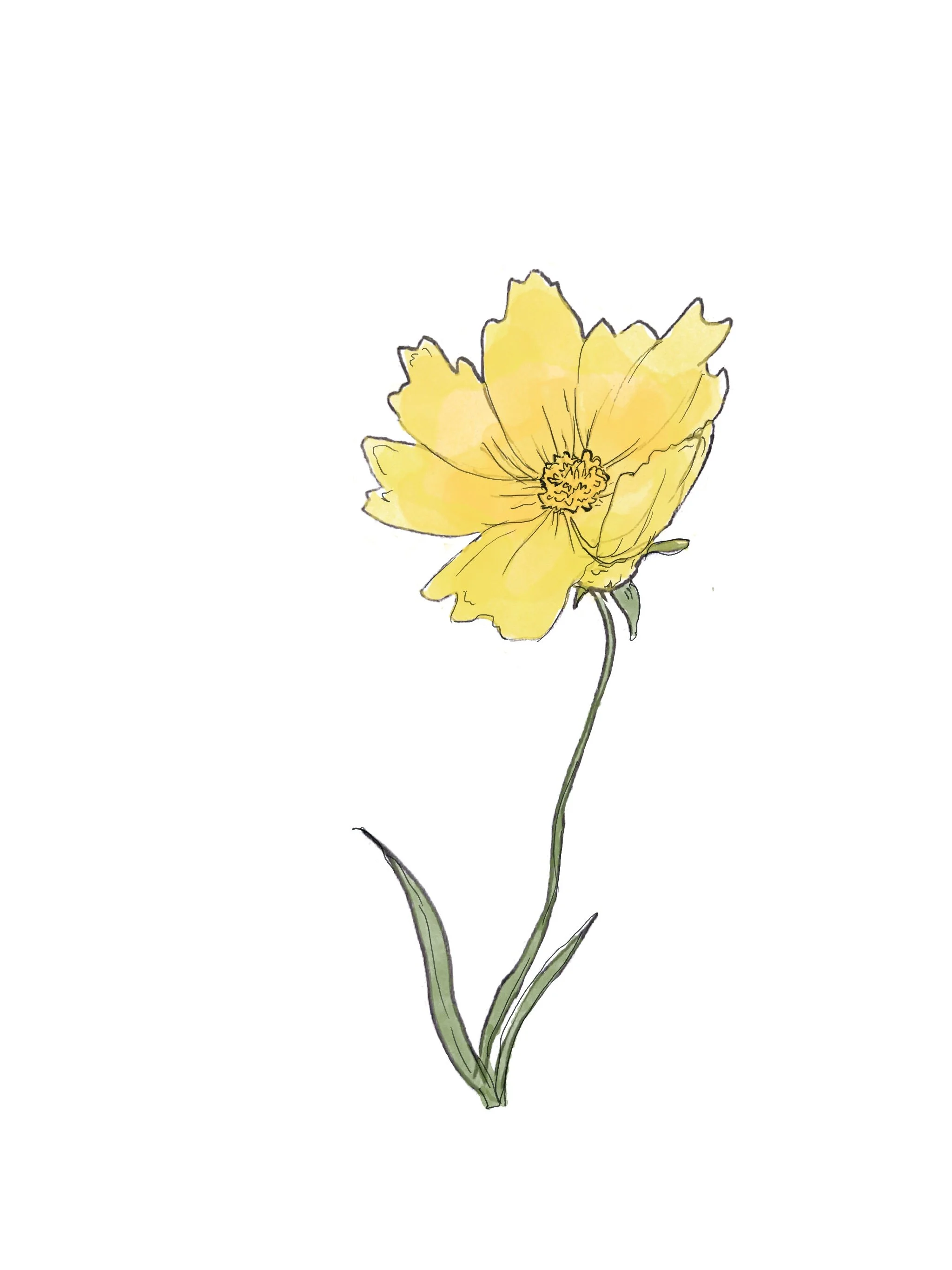 Untitled_Artwork 1.jpg