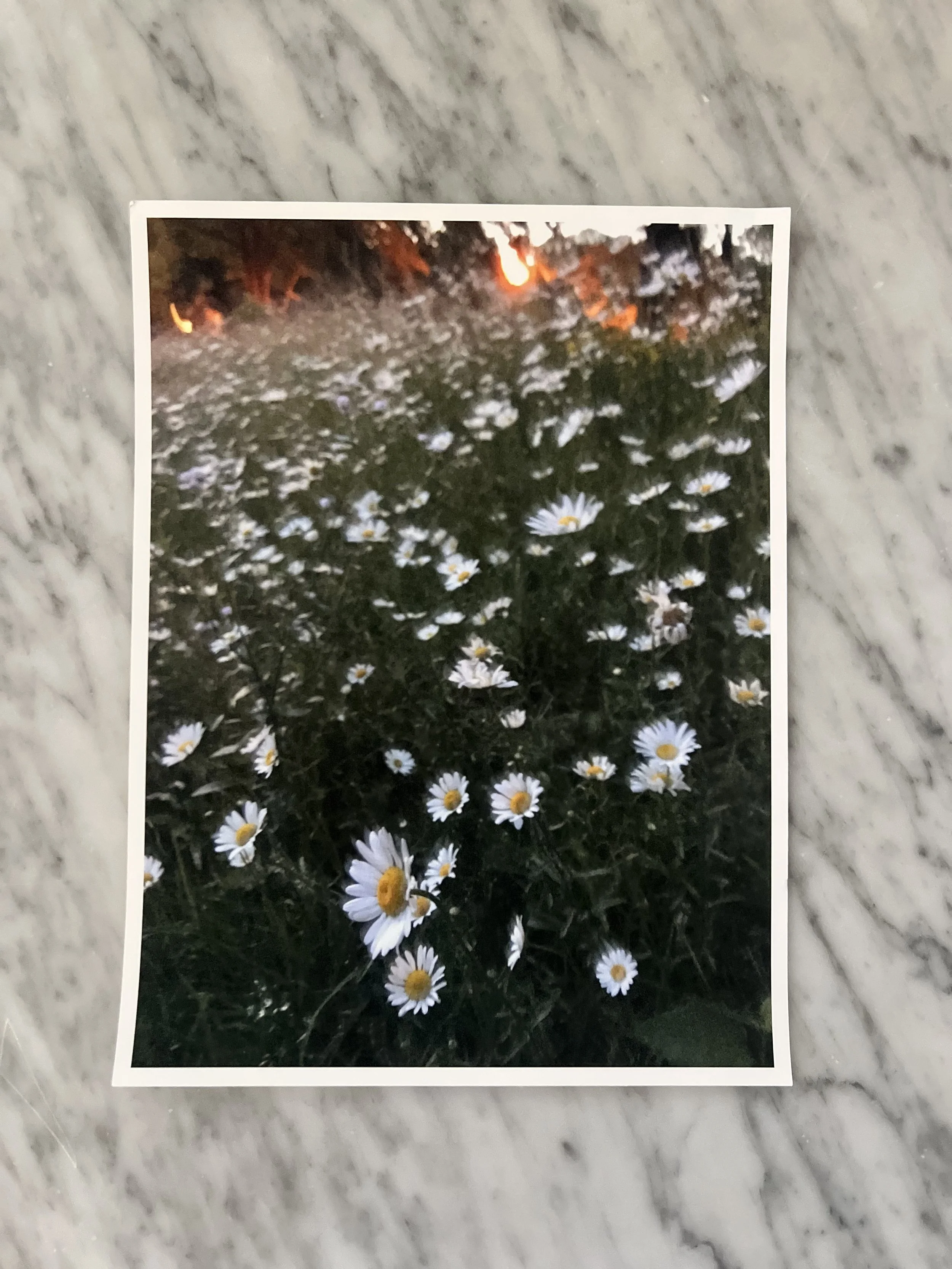IMG_9635.jpeg