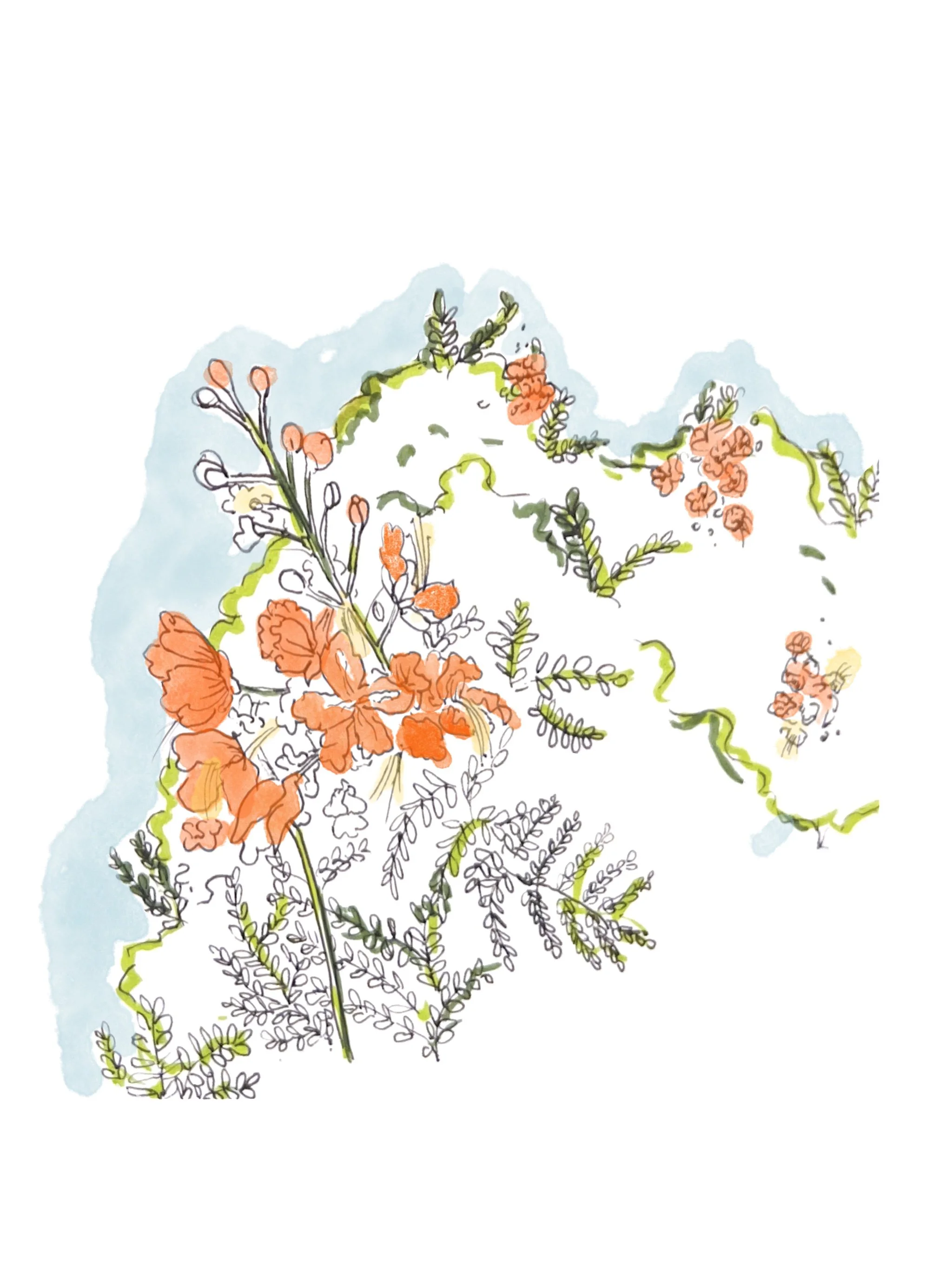 Untitled_Artwork 4.jpg