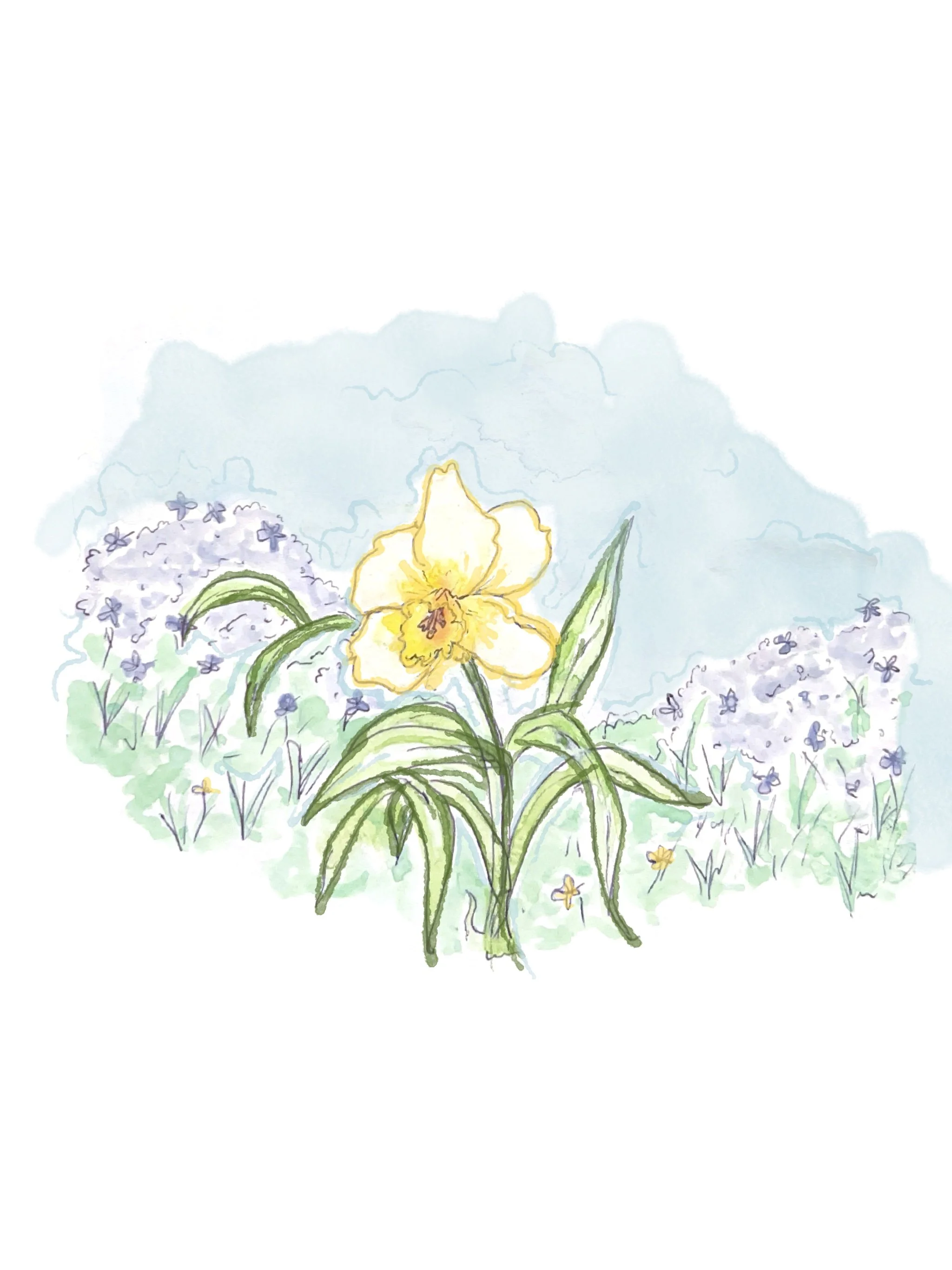 Untitled_Artwork 2.jpg