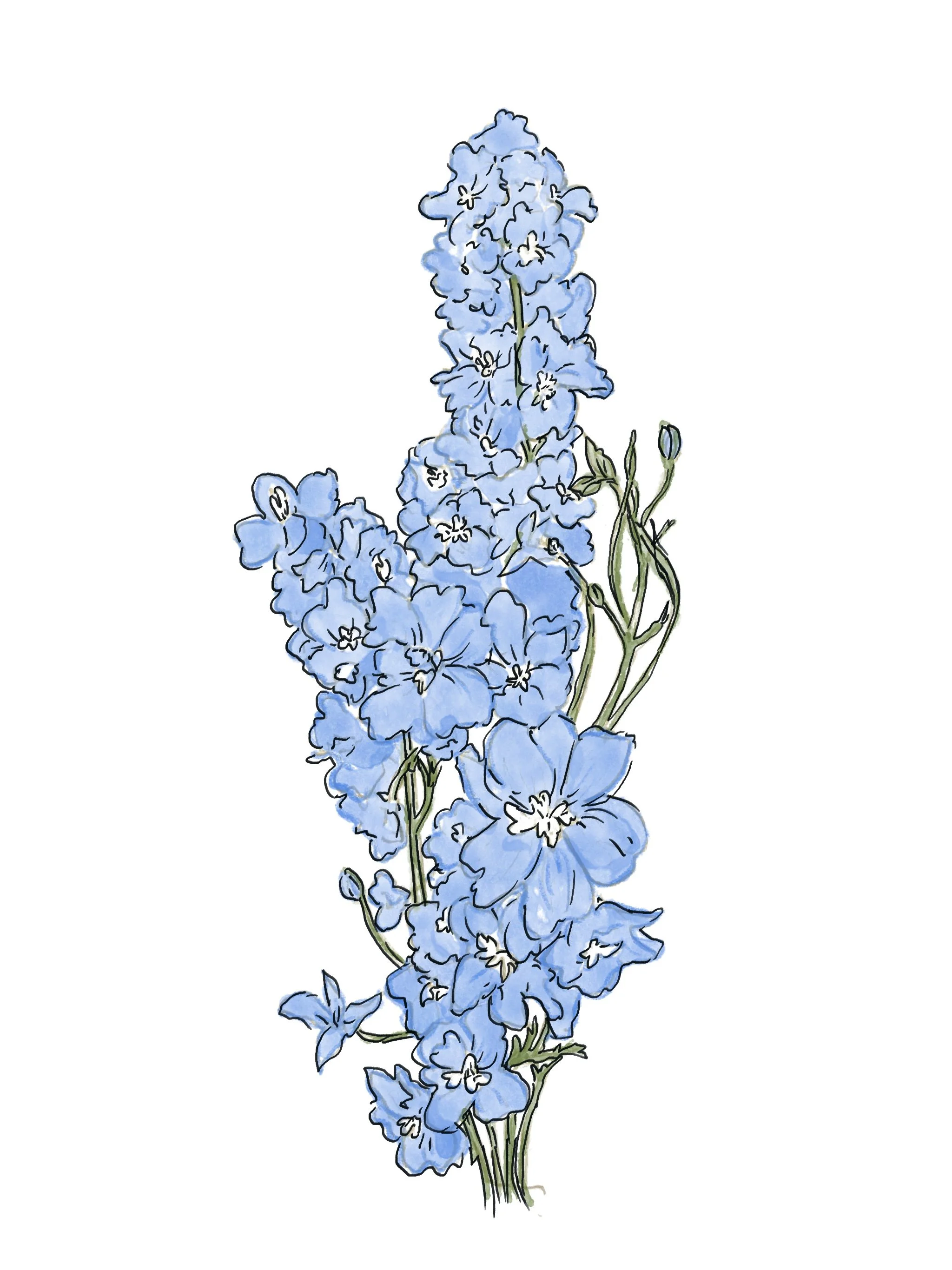 Untitled_Artwork 3.jpg