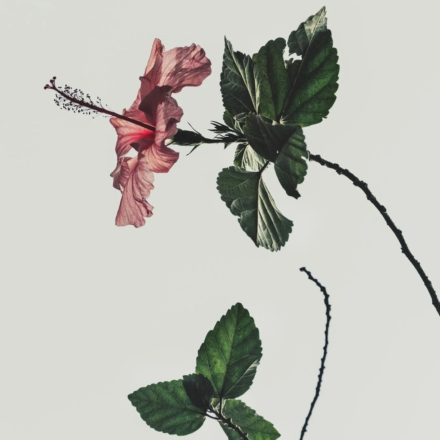 unsplash-image-t7itPRh7Kkg.jpg