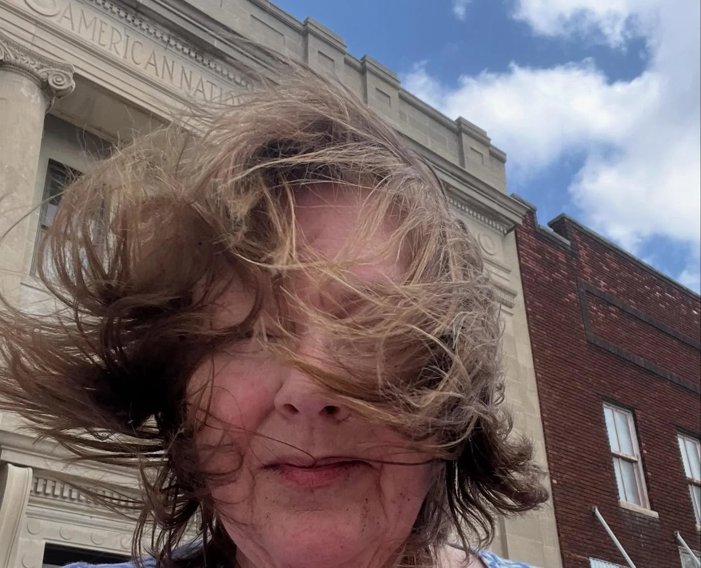 The Beautification team braved strong winds yesterday to install these young arborvitae trees, gifted to Market Street by Toyota Motor Manufacturing of Indiana. They had been used as Winter decorations, and now we get to give them a second life in Mo