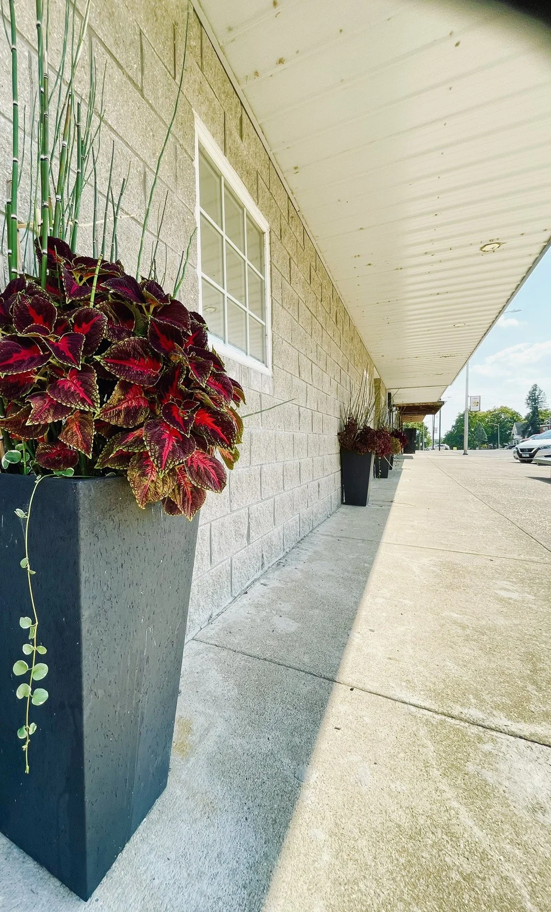 Market+Street+MTC_Beautification+Uptown+Planters+Flowers_03.jpg