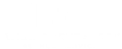 A row of books, with the ones in the middle leaning to one side, is represented by a series of slender and thick vertical lines. The words 'What's Your Story Author Services' are below the graphic.