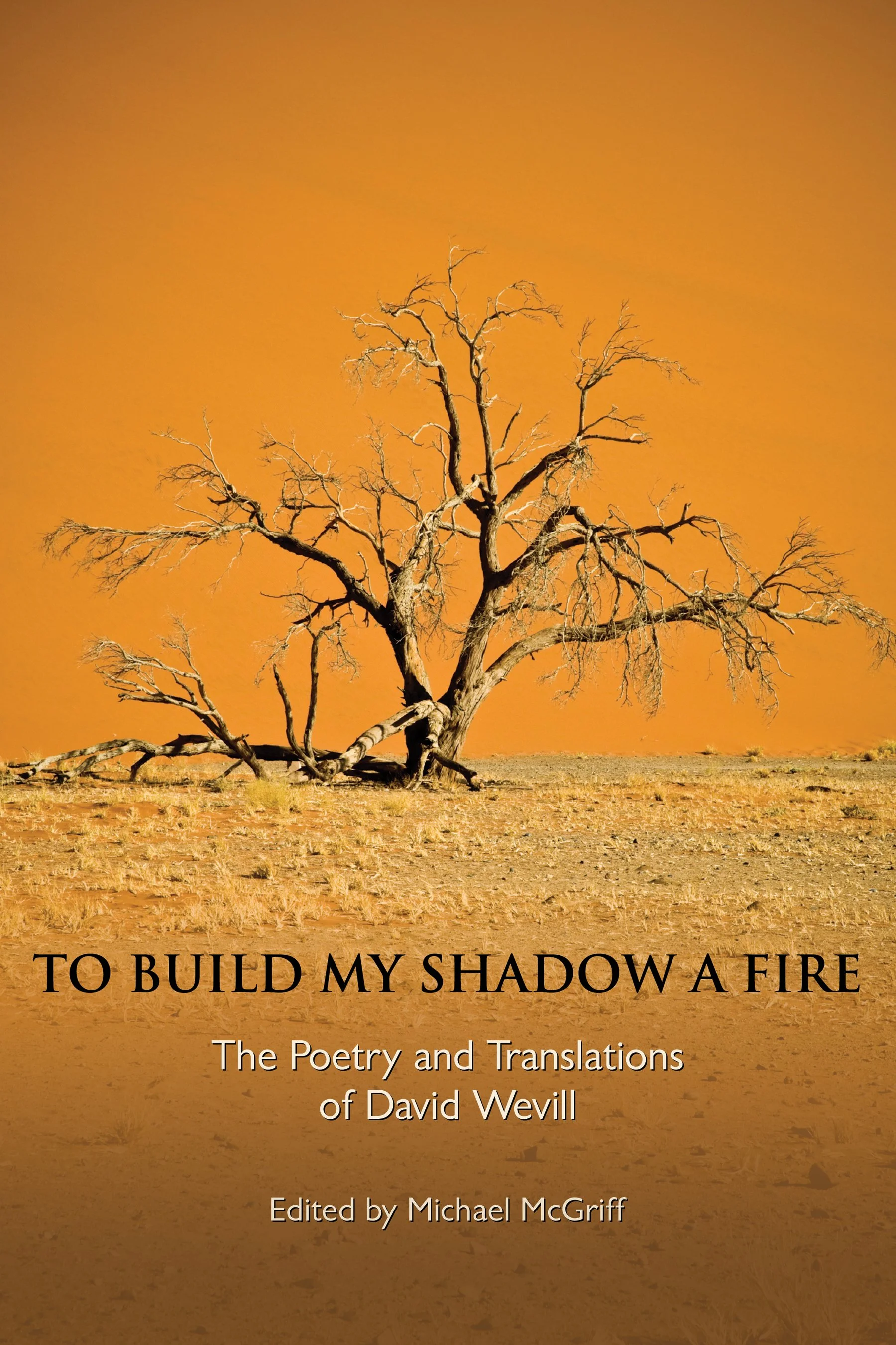 Cover TO BUILD MY SHADOW high res.jpg