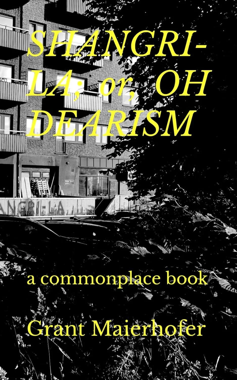 Shangfila Maierhofer.jpg