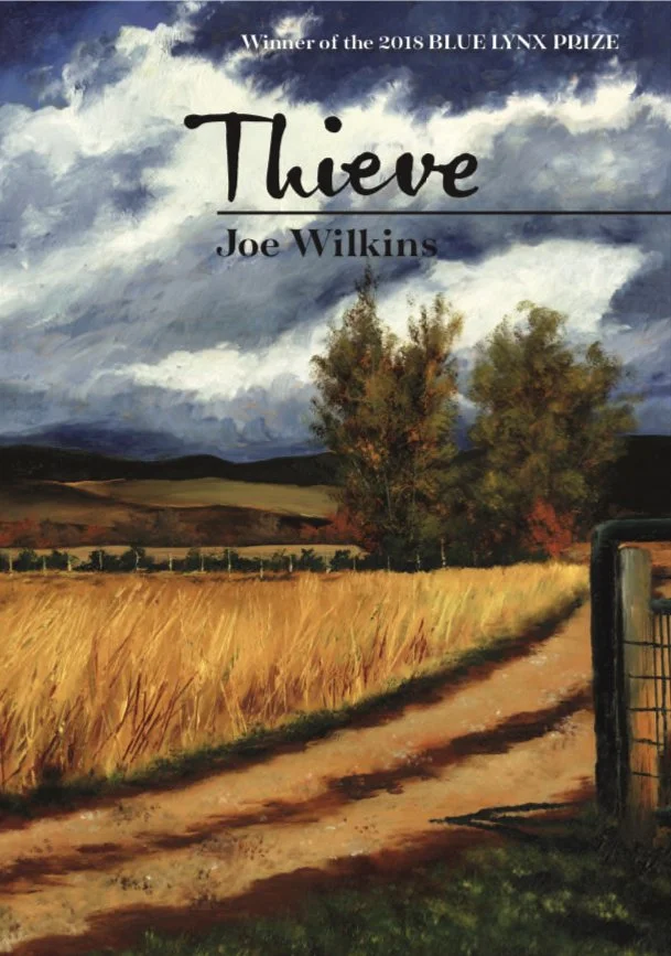 thieve-cover-2.jpg