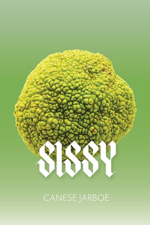 Sissy_Cover Jarboe.jpg