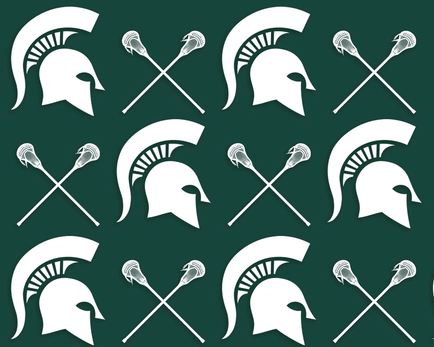 Michigan State Lacrosse