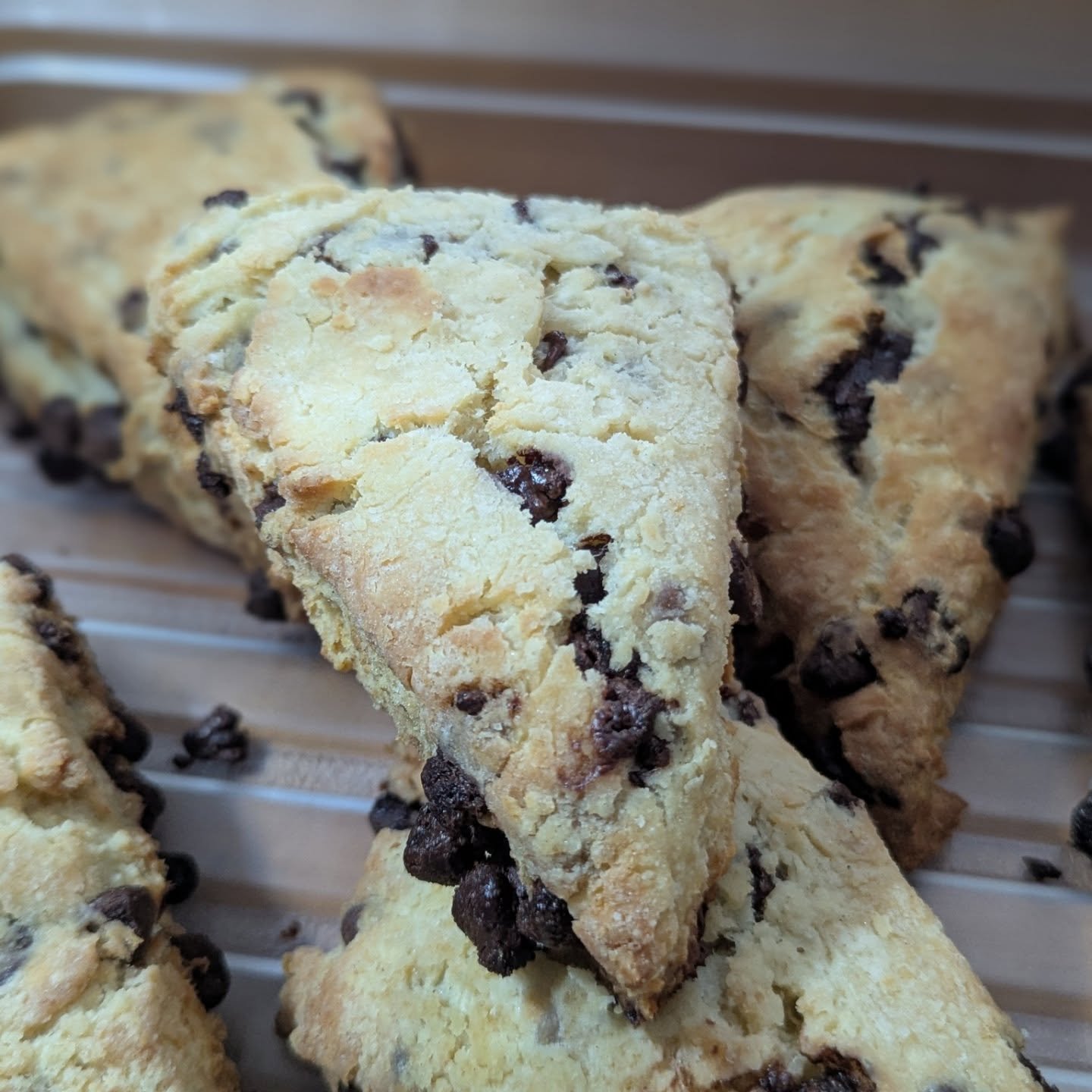 Scones are out and the soup is on! 😍
Come by the Potsdam Food co-op and check out the new sides available, including Pomegranate Goat Cheese spread and 7 Layer Taco Hummus Dip! 

#potsdam_food_coop #breakfast #lunch #snacks #deli #dip