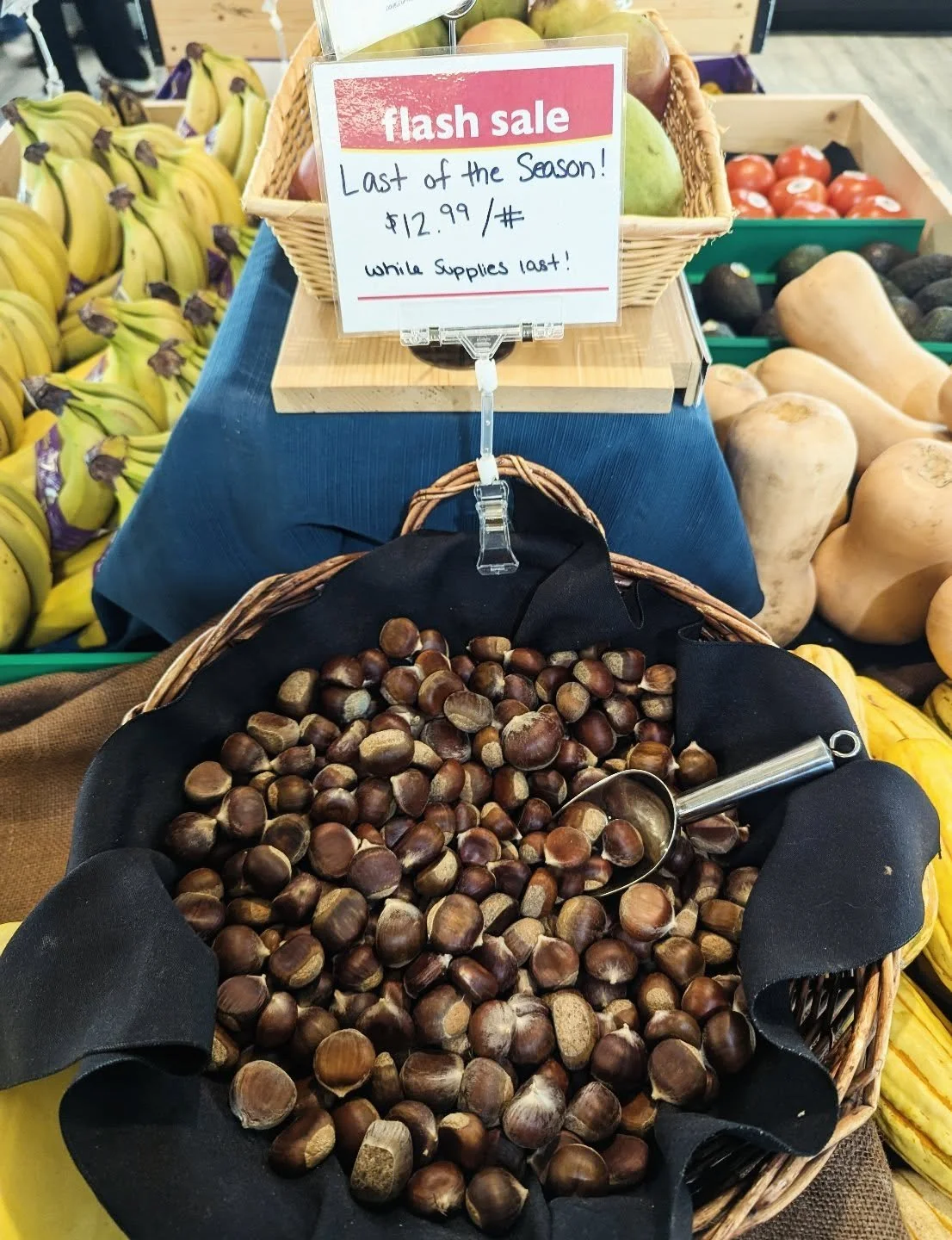 Last of the chestnuts are on flash sale while supplies last ❤️✨🌰 

#seasonal #Potsdam_Food_Coop #chestnuts