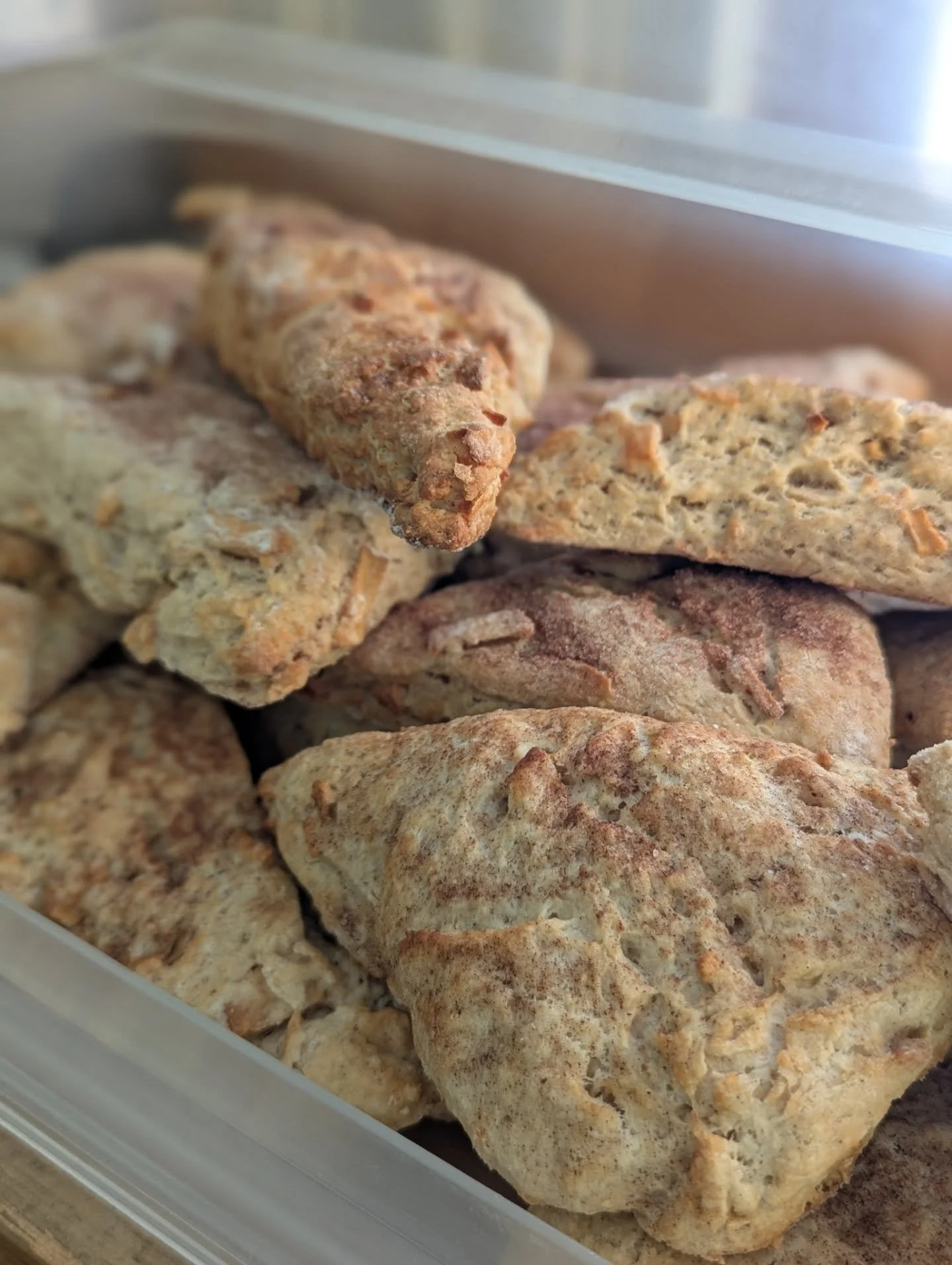 APPLE SCONES TODAY 😍 absolutely delicious! 

Check out our website for more deli offerings today, including today's soups from Kettle Cuisine! 🧀 

Www.potsdamcoop.com/deli

#potsdam_food_coop #deli #scones #soup #sides