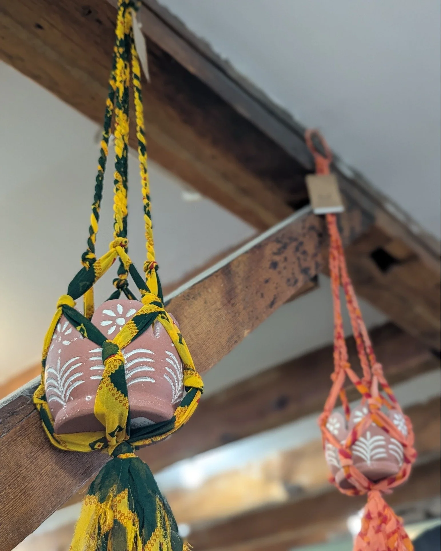 Brighten up your home with indoor plant decor 🎍🌷

#Potsdam_Food_Coop #Plant_Decor #Fair_Trade