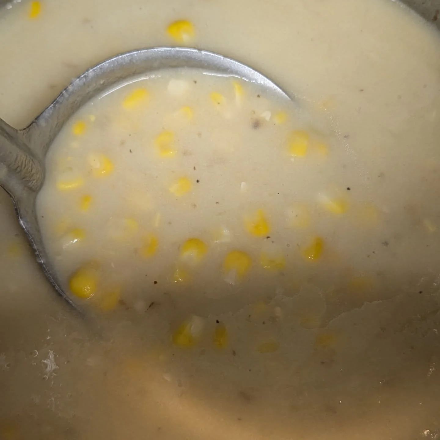 Soups, sandwiches, salads, oh my!! 
🥚 Fresh classic deviled eggs made with local eggs! 

Come through for something delicious today 🤩

#potsdam_food_coop #lunch #support_small_business