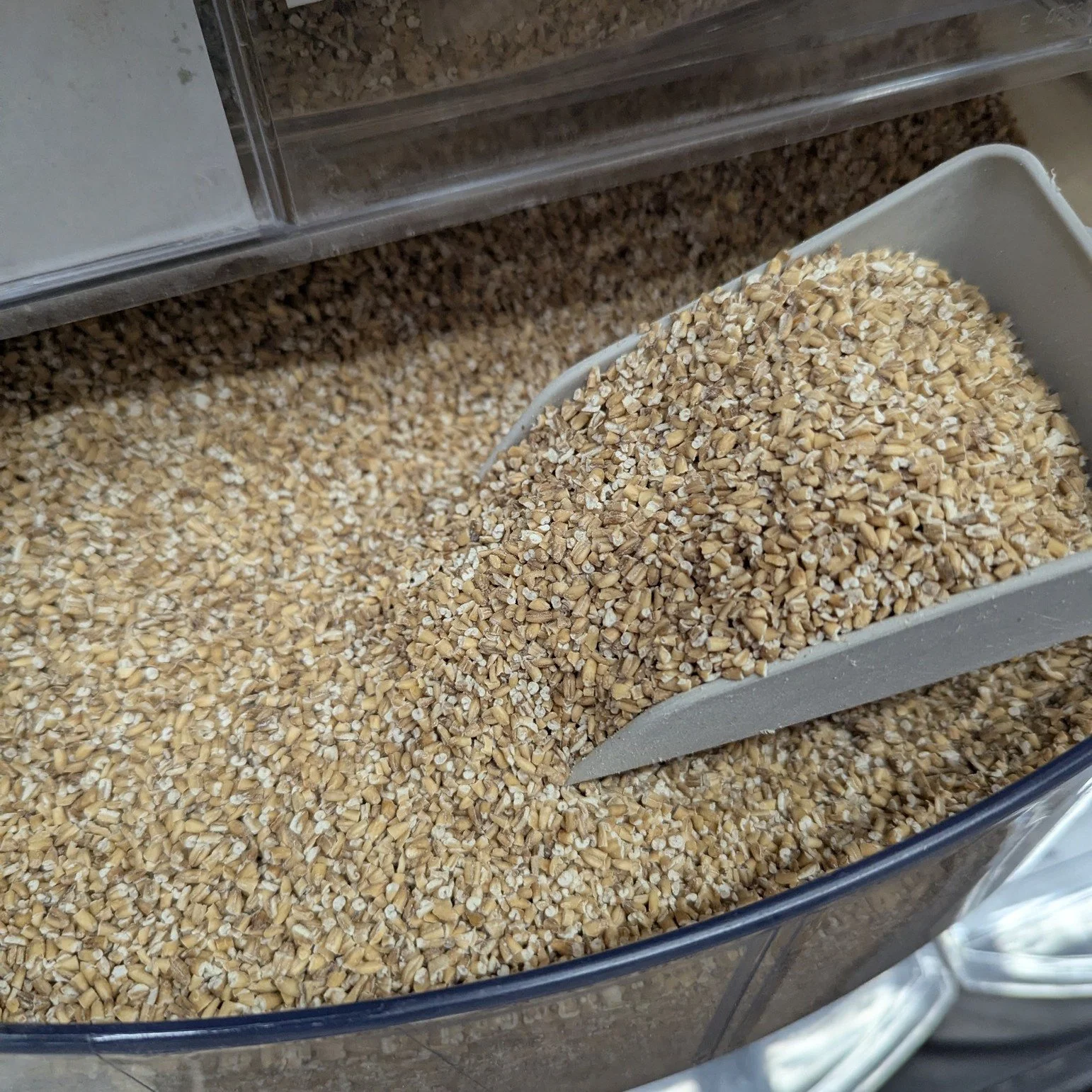 Bulk Co+op Deal Alert!⚠️
The ever popular Steel Cut Oats are on Co+op Deals for $1.79 Per Pound until 3/31! Come through and grab what you need before the sale ends!

#Potsdam_Food_Coop #Bulk #Coop_Deals #On_Sale #Reduce_Plastic_Waste