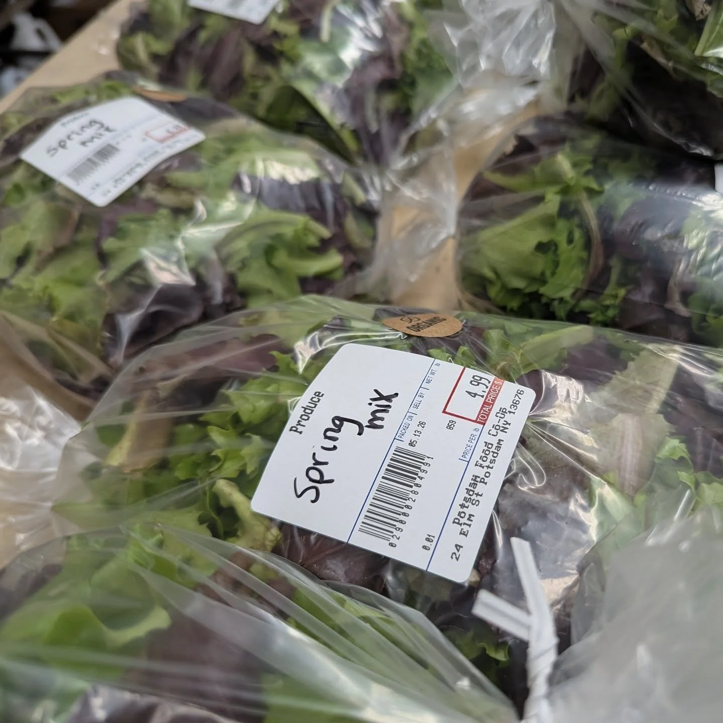 Fresh bags of Spring Mix are available in produce! 🌿

#potsdam_food_coop #spring_mix #leafy_greens