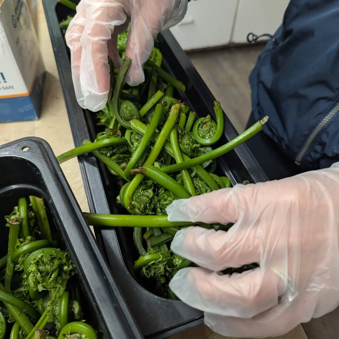 We have some new locally sourced produce and a few flash sales going on today!
🌿 Organic Chives from Plowbreak Farm in Burdett, New York
🌿 Organic garlic leeks from Six Circles Farm in NY
🌿 Locally forged fiddleheads from co-op owner Pachance
🌿 F