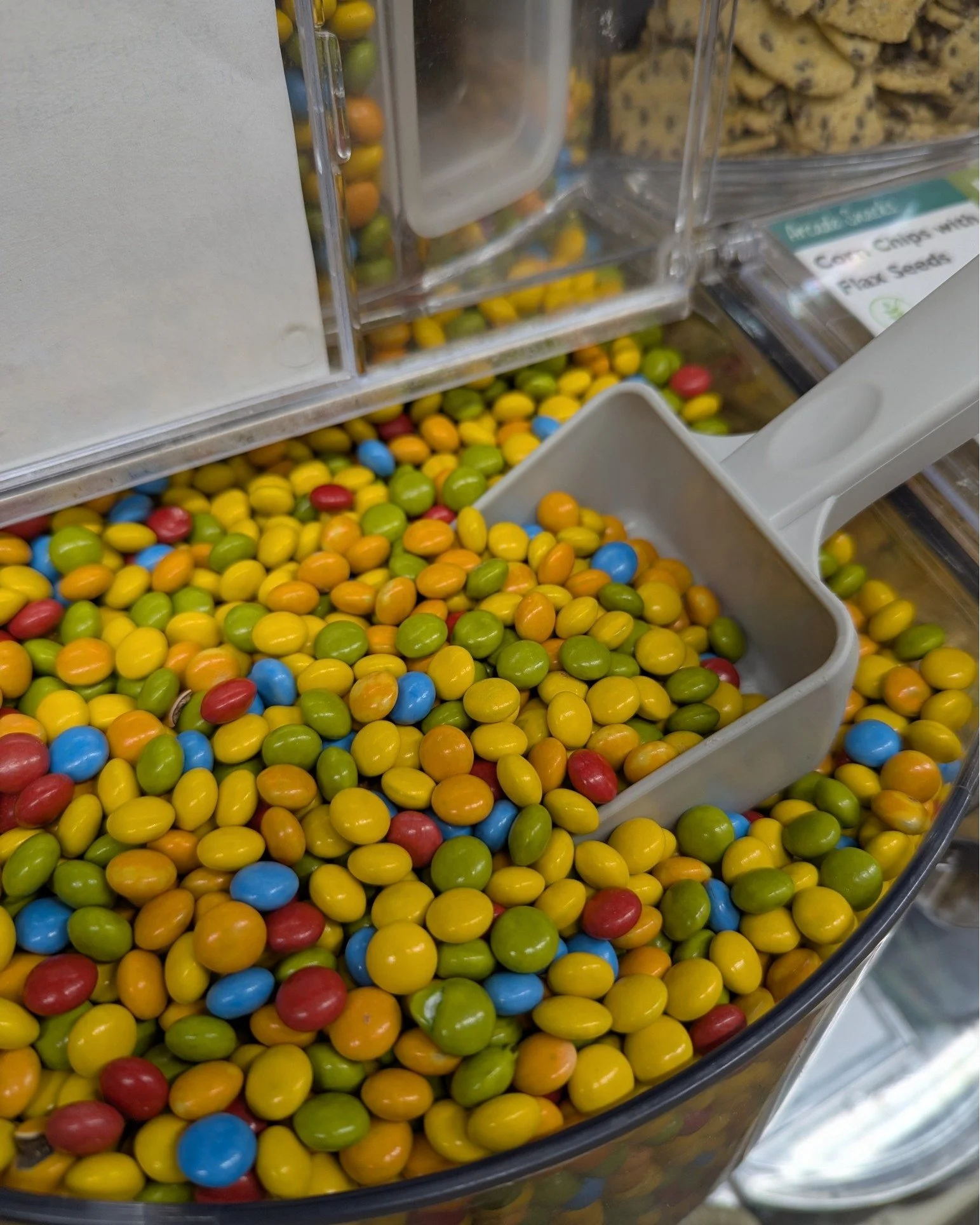 Earth Gems by Trupo Treats !
💛💚💙A vegan, allergen-friendly alternative to mini M&amp;Ms. Created by twin brothers Brian and Charlie Trupo, they feature a creamy dark chocolate center covered in a crunchy candy shell, and stand out for using exclus