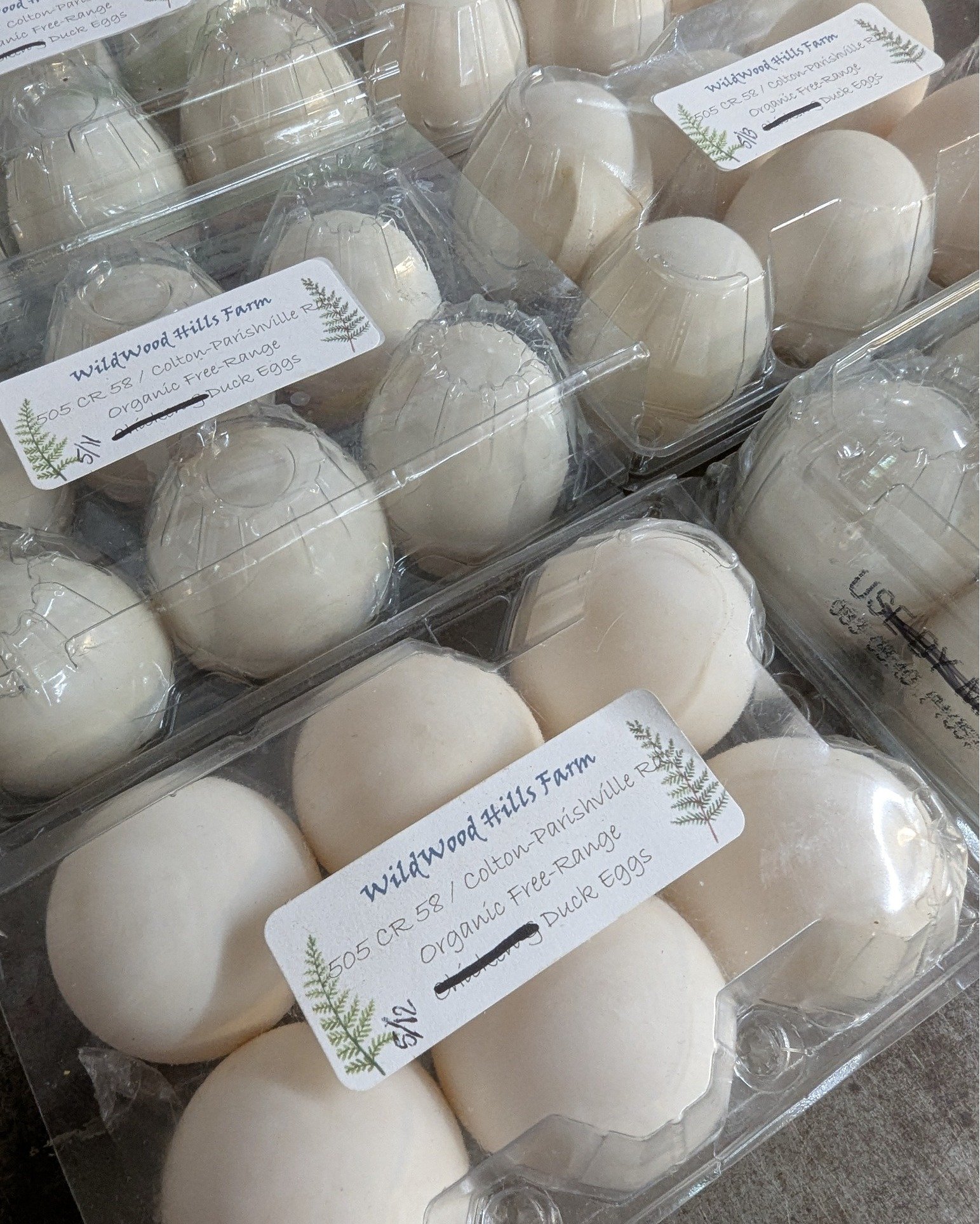 Local Duck Eggs are in stock from Wildwood Hills Farm! 🥚🦆

#Potsdam_Food_Coop #Duck_Eggs #Locally_Sourced