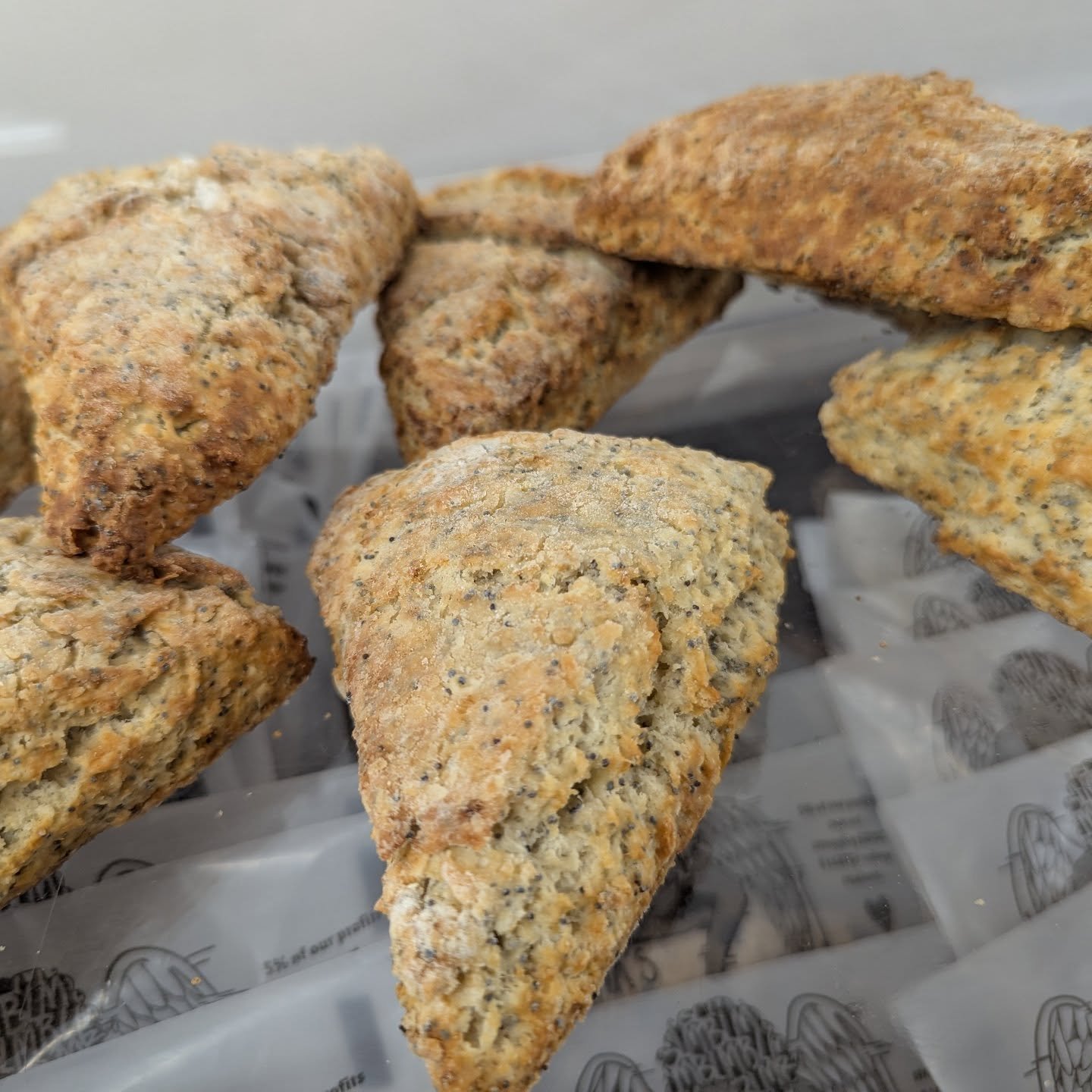 Lemon Poppy scones today 🍋🥰 tomorrow is ginger 🫚, and Thursday is blueberry!! 🫐

#fresh_baked #scones #lemon_poppy #potsdam_food_coop