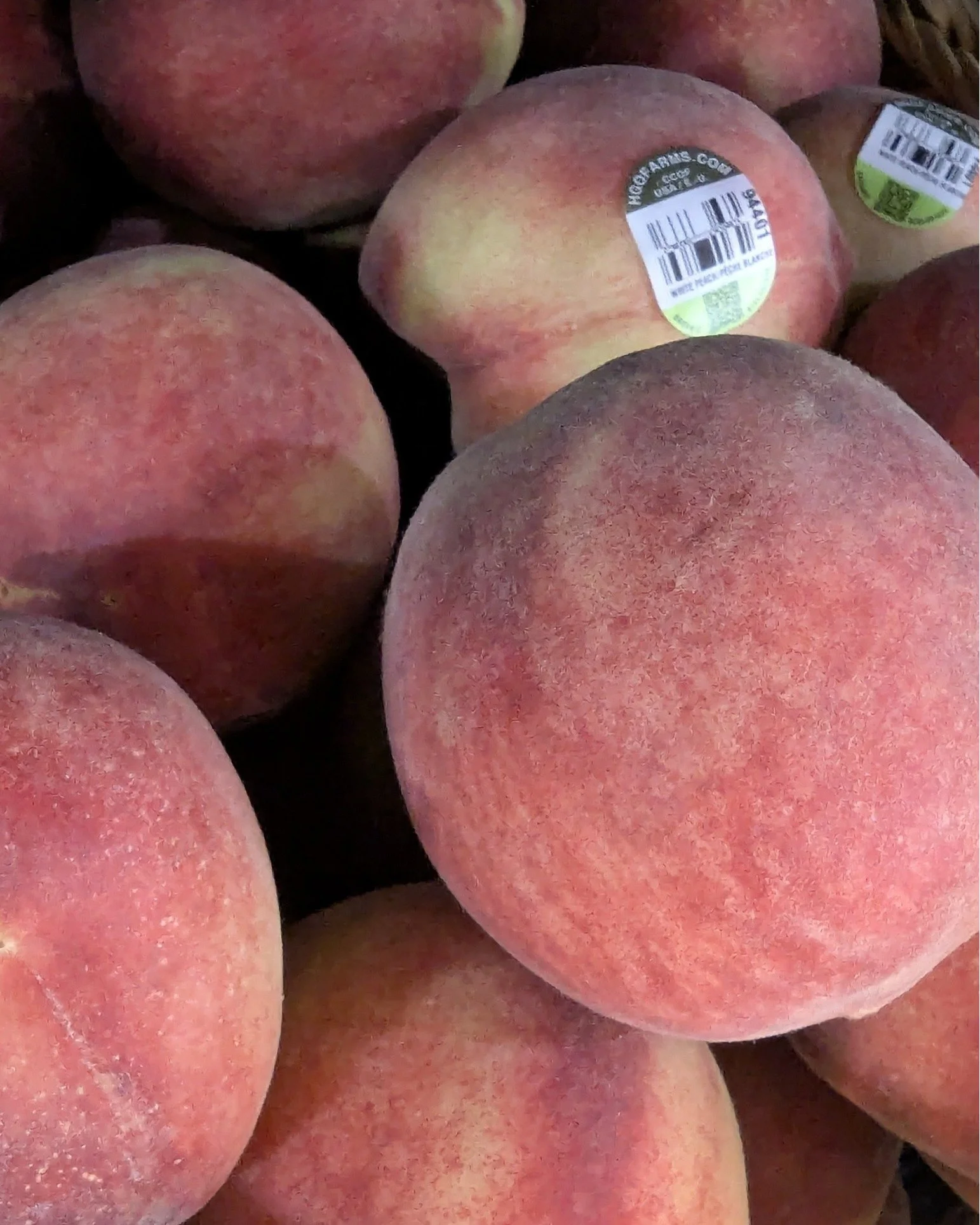 Which fruit is your go-to? 🍏🍎🍑

#Potsdam_Food_Coop #Fresh_Fruit #Produce