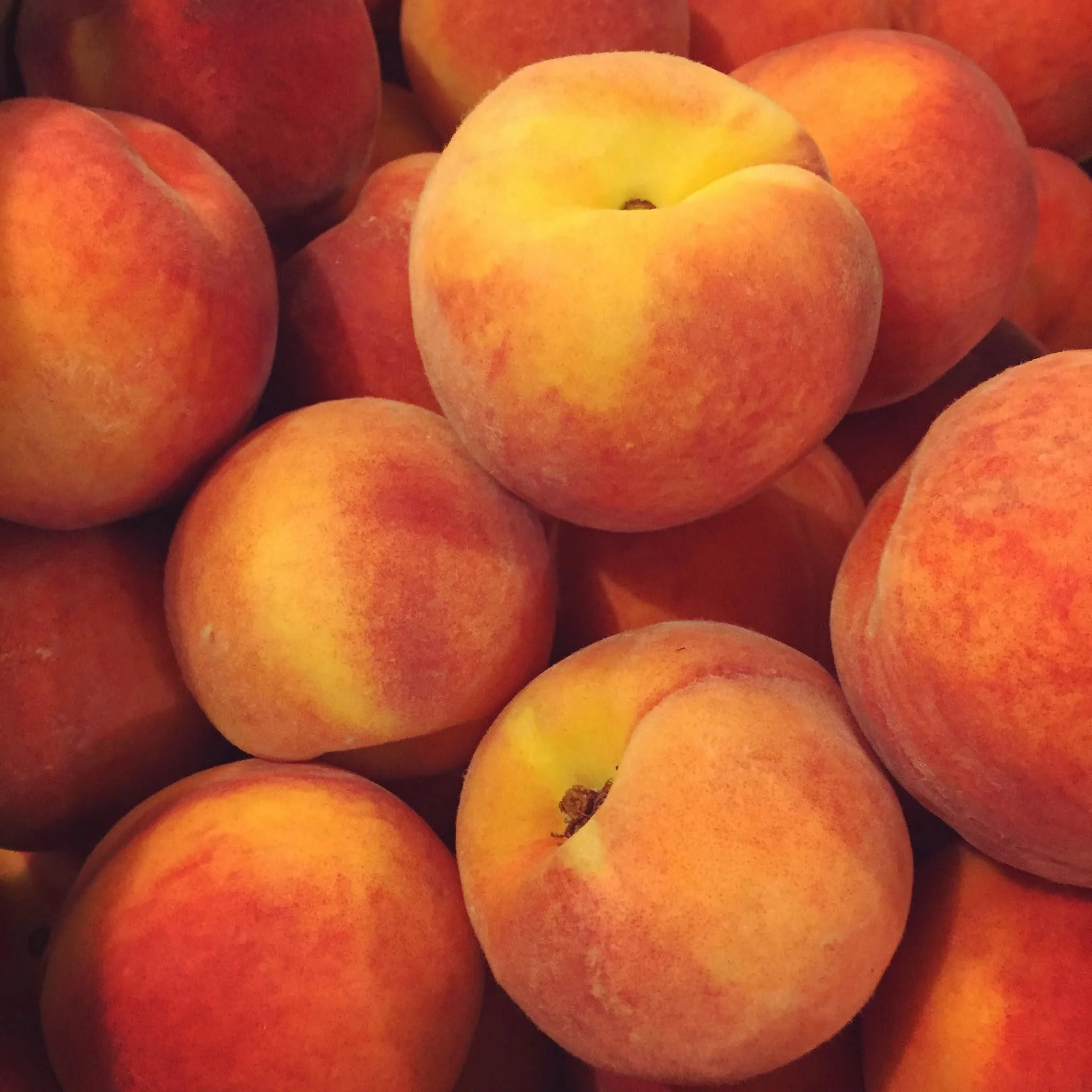 Fresh Clingstone Peaches (by the peck) - Owners Only!