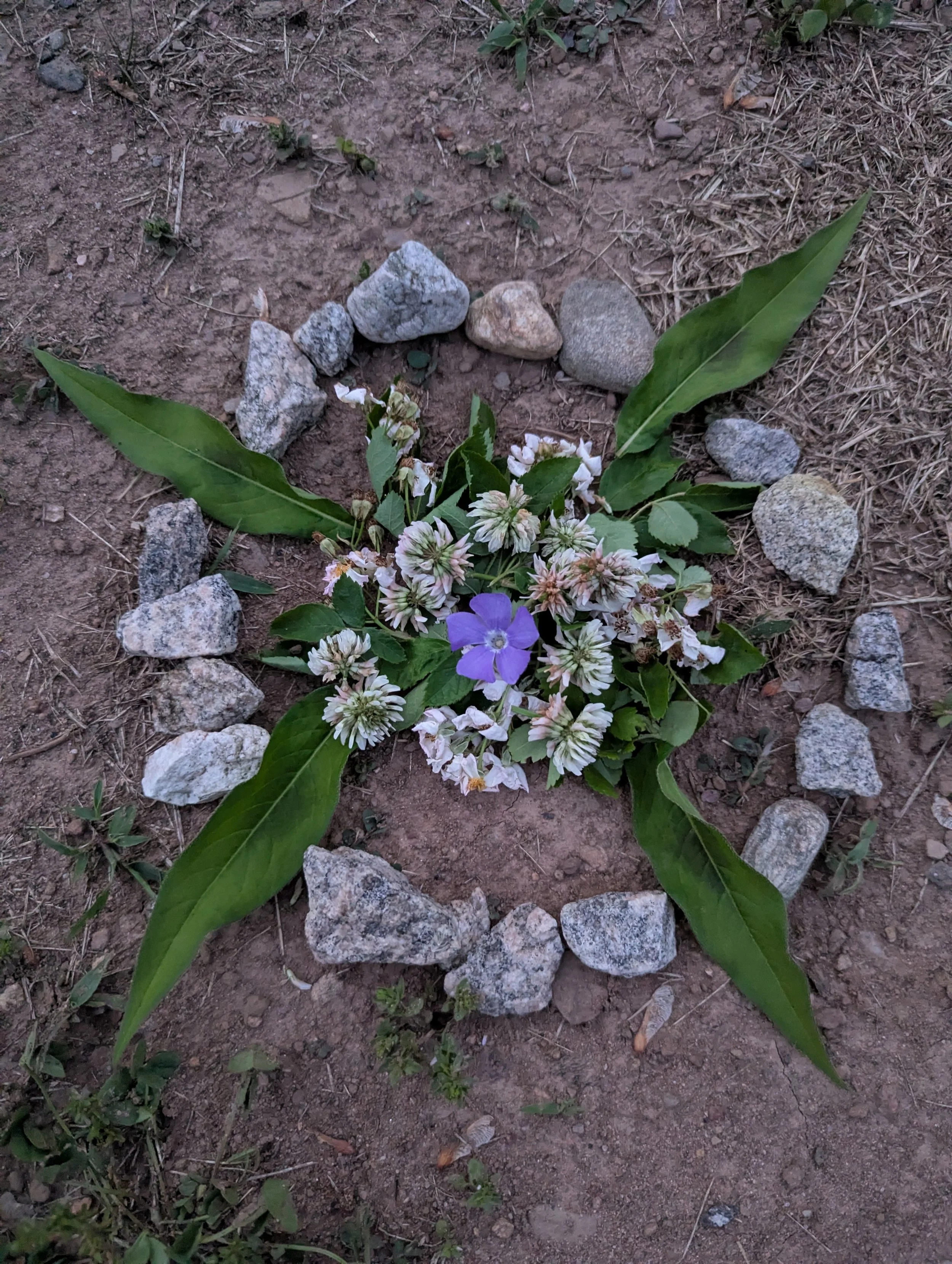 Mindfulness Grief Coaching