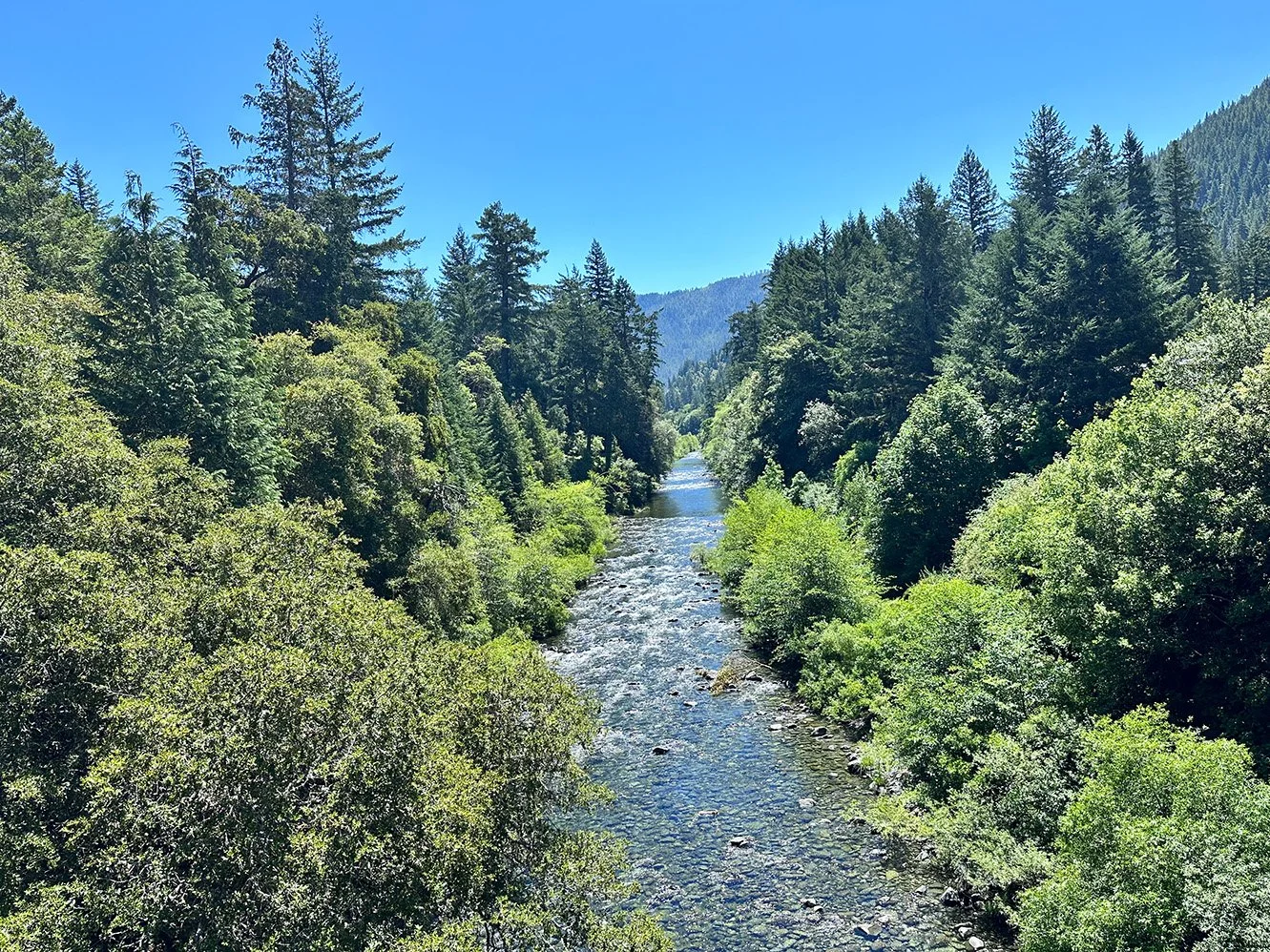 Holistic well-being and balance coaching guiding women entrepreneurs through mindset and growth strategies by D*GLOW Holistic Consulting in San Francisco Bay Area.