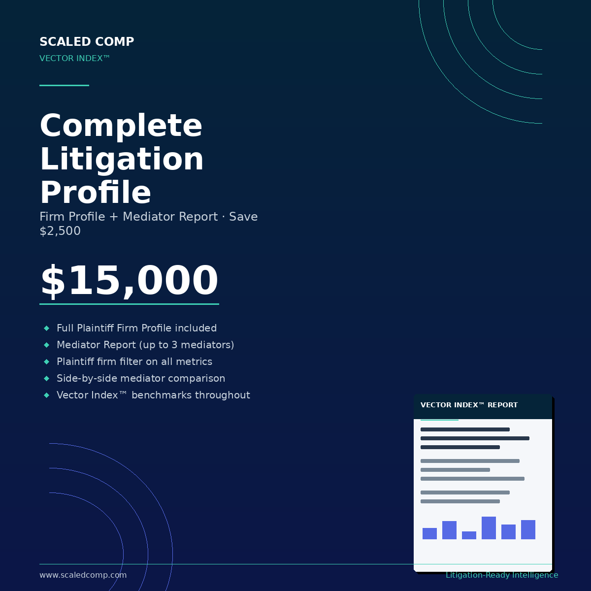 Vector Index - Complete Litigation Profile