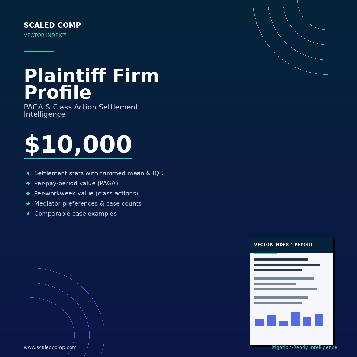 Vector Index - Plaintiff Firm Profile